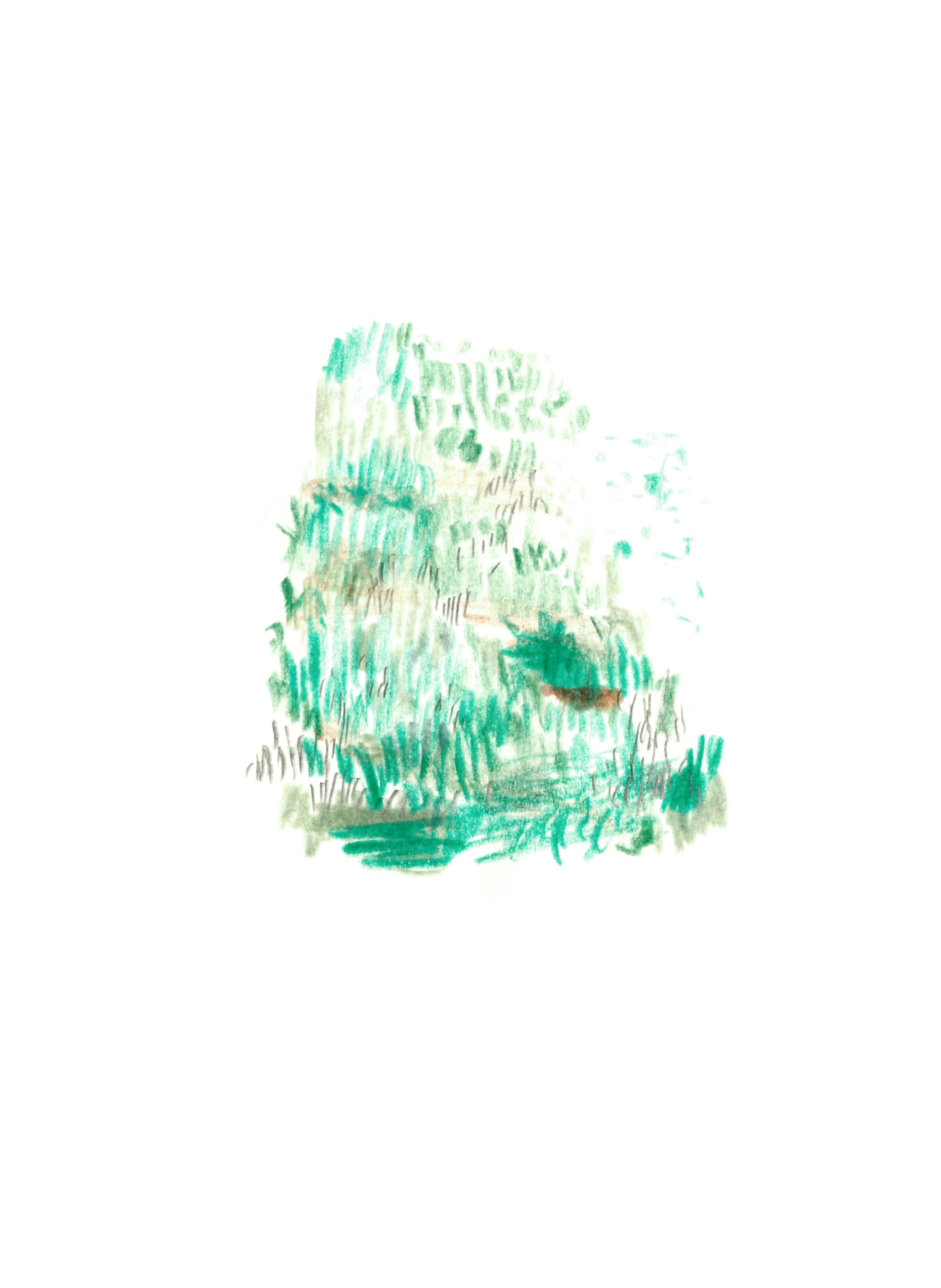 drawing in colored pencil of a patch of grass with different shades of green