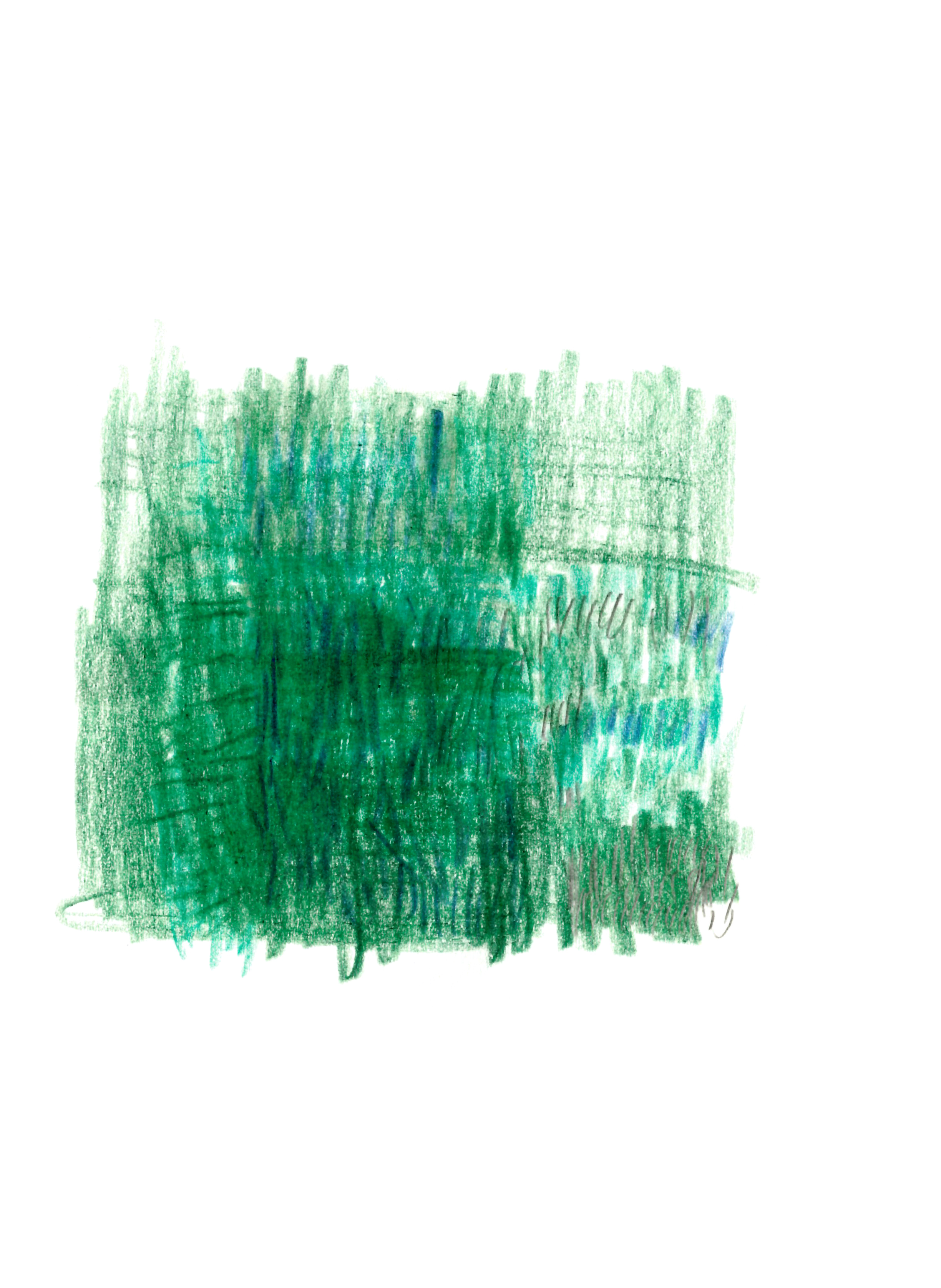 drawing in colored pencil of a patch of grass with different shades of green