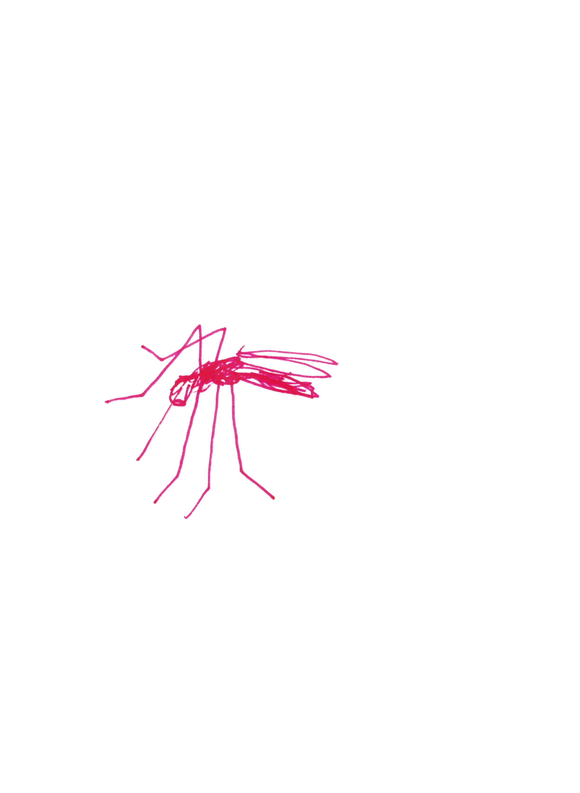 pen drawing in red of a mosquito