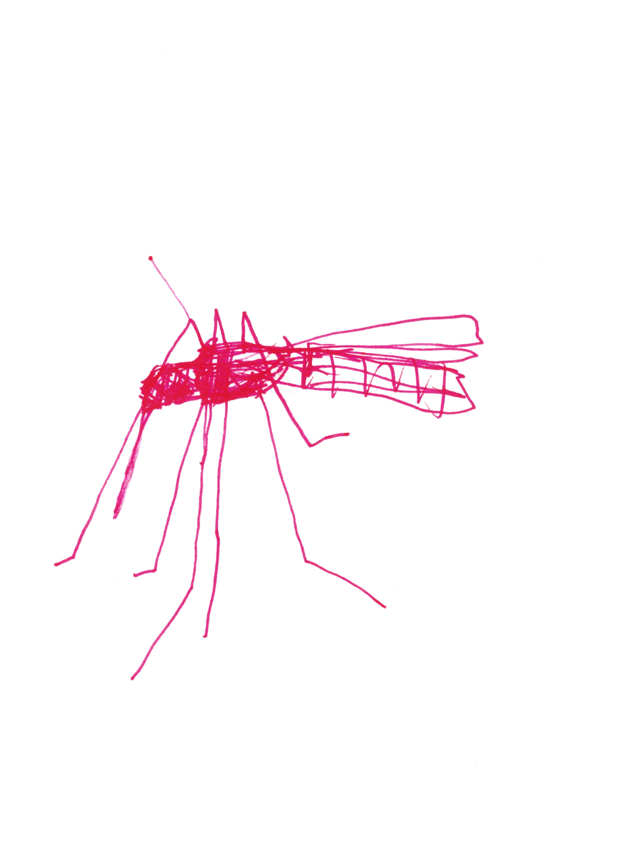 pen drawing in red of a mosquito