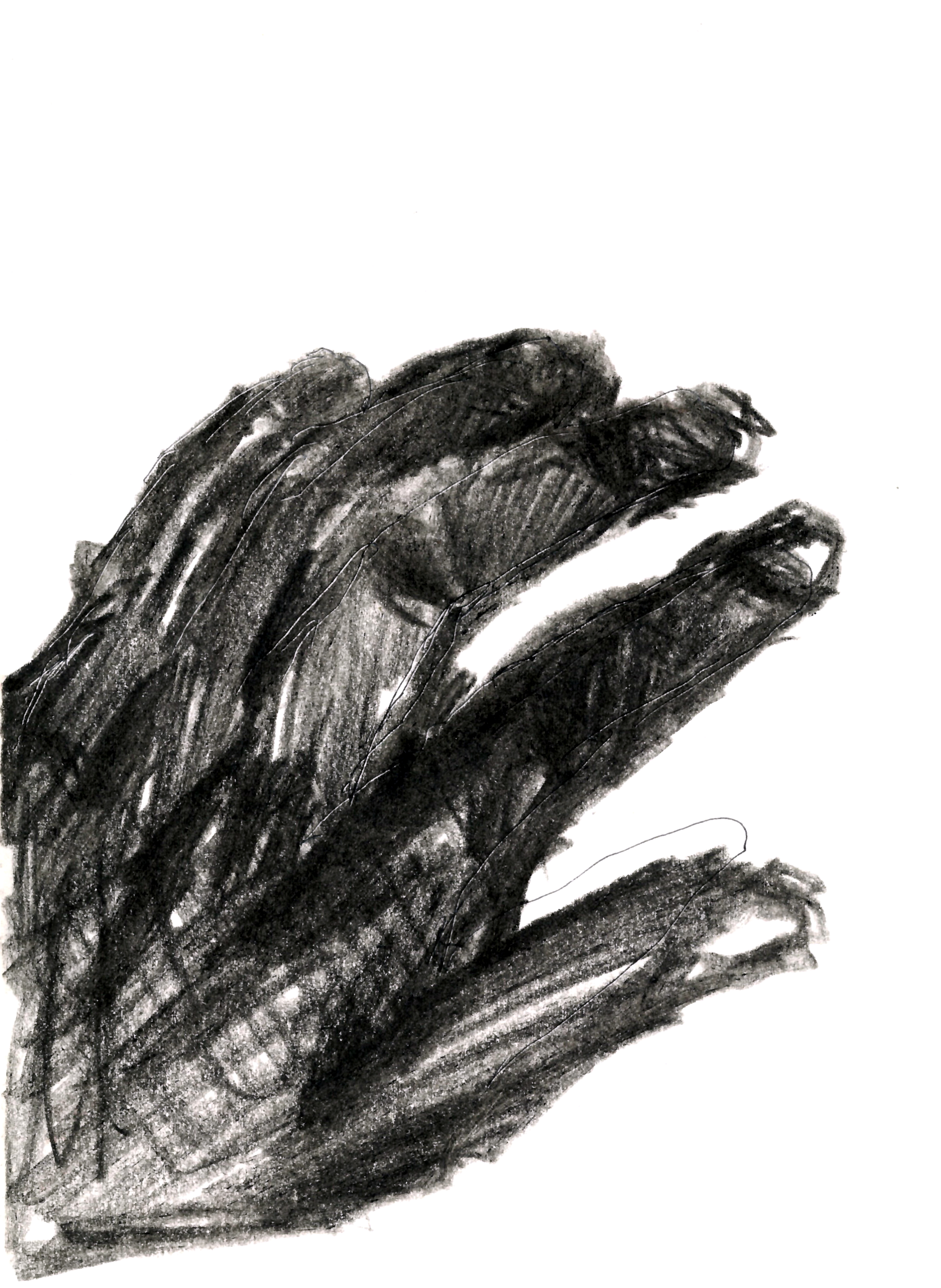 drawing in colored pencil of a left hand from the eyes of the beholder
