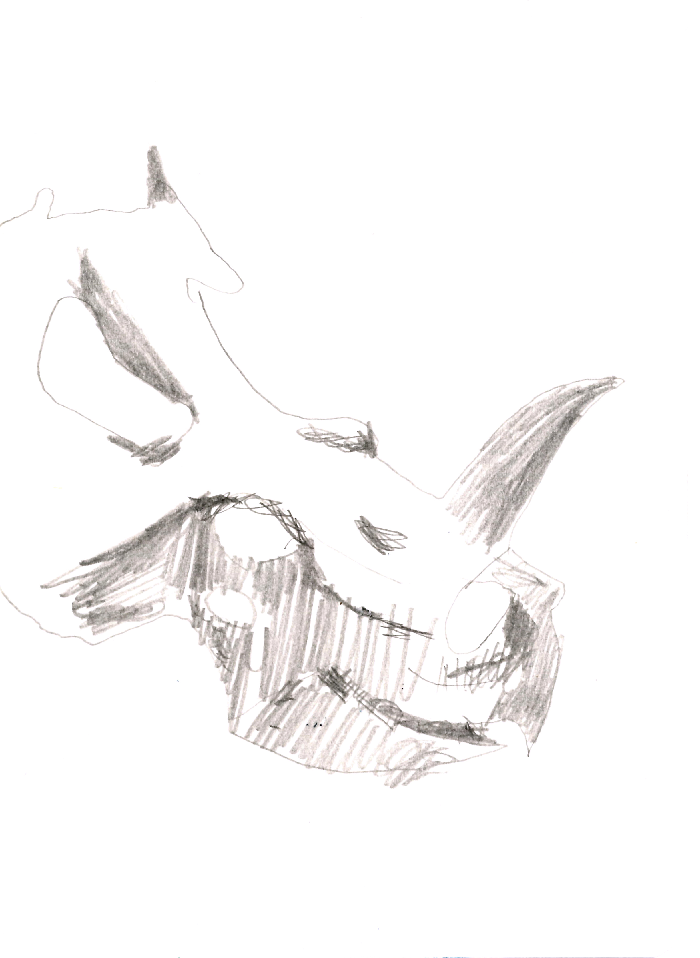 drawing in pencil of a dinosaur skull with a horn, a large jaw, and a white eye