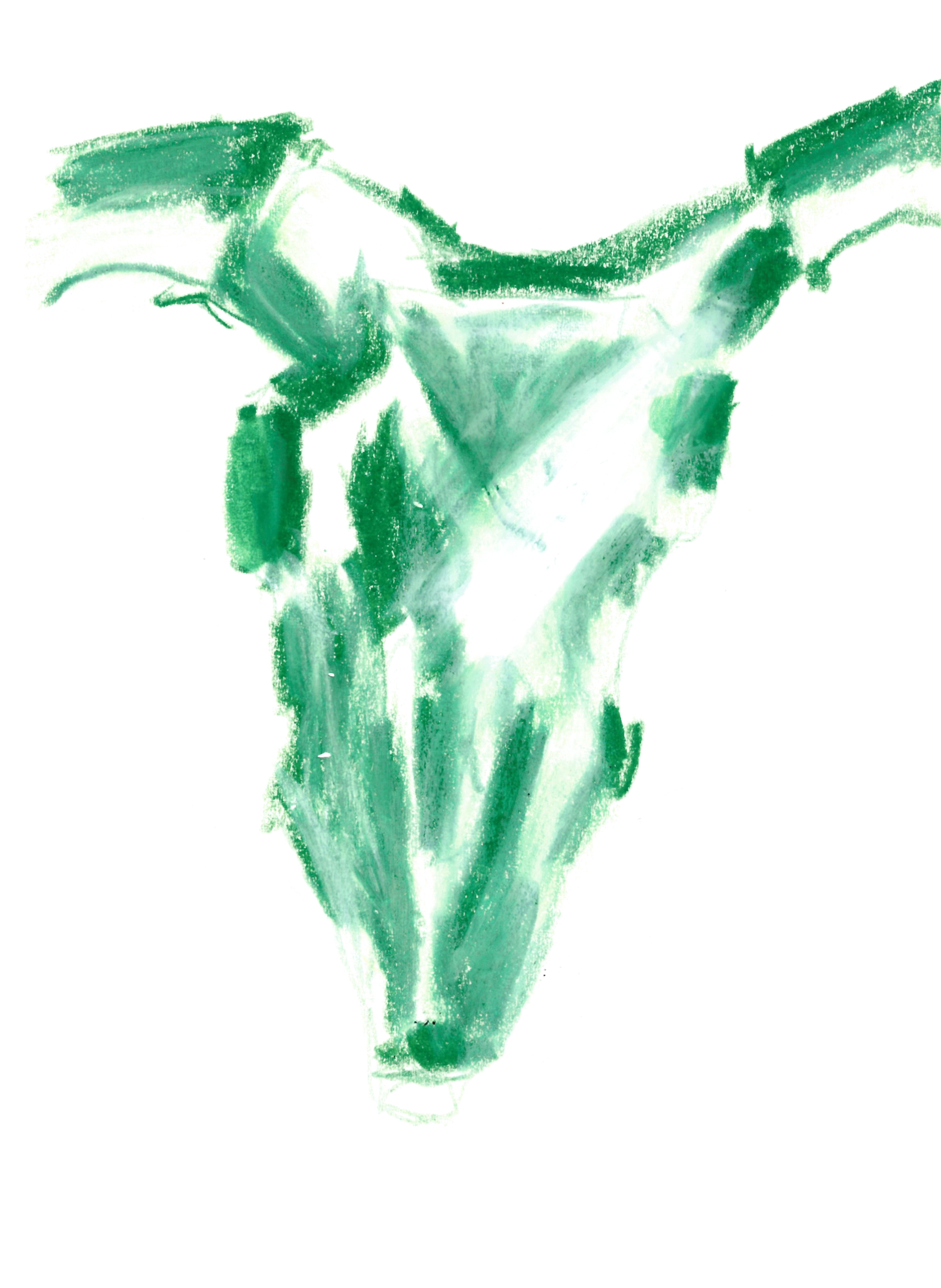 drawing in green colored pencil of a goat-skull with two large horns and a long face