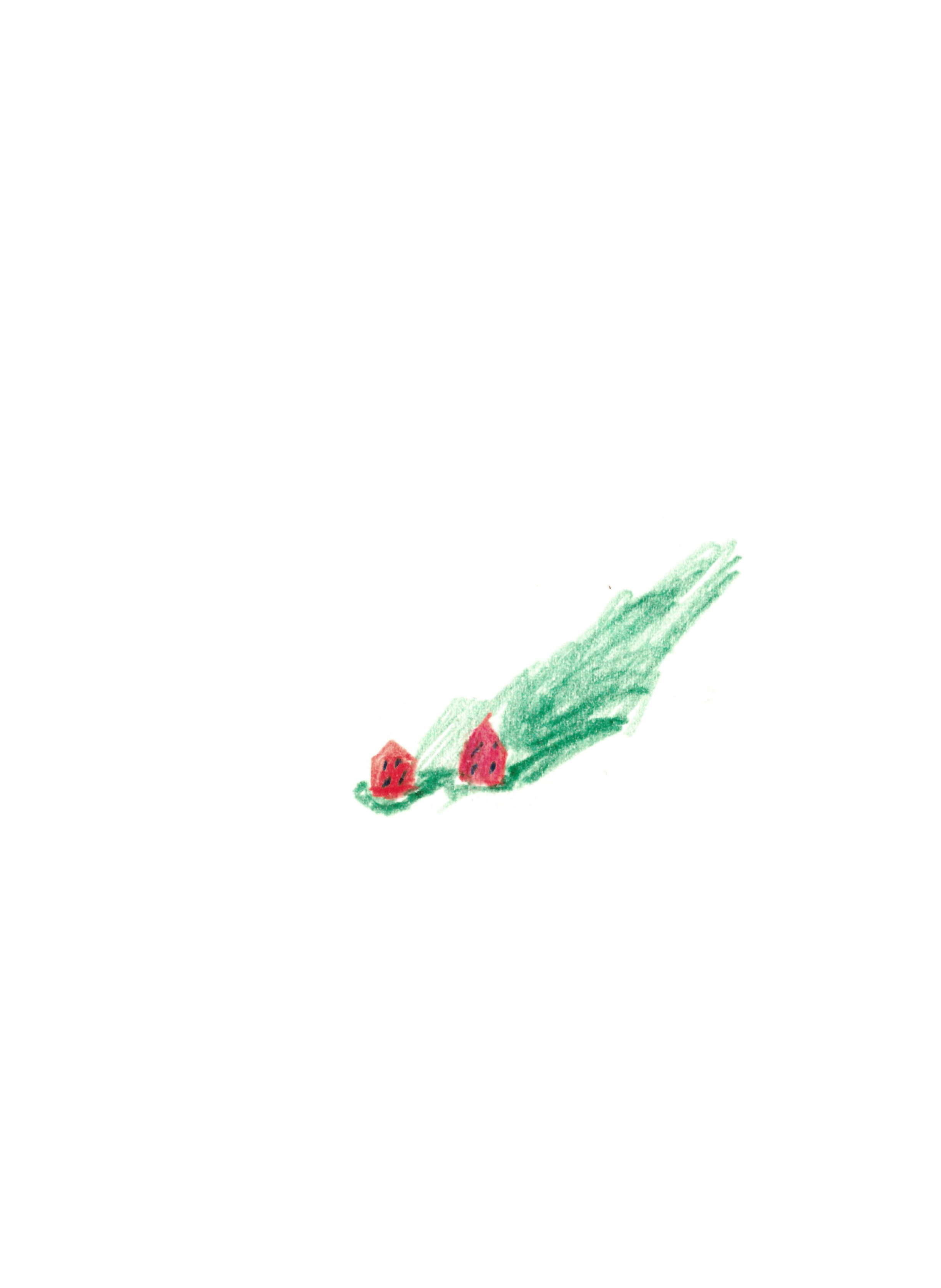 drawing in colored-pencil of two small red cottages sitting in a grassy hillside