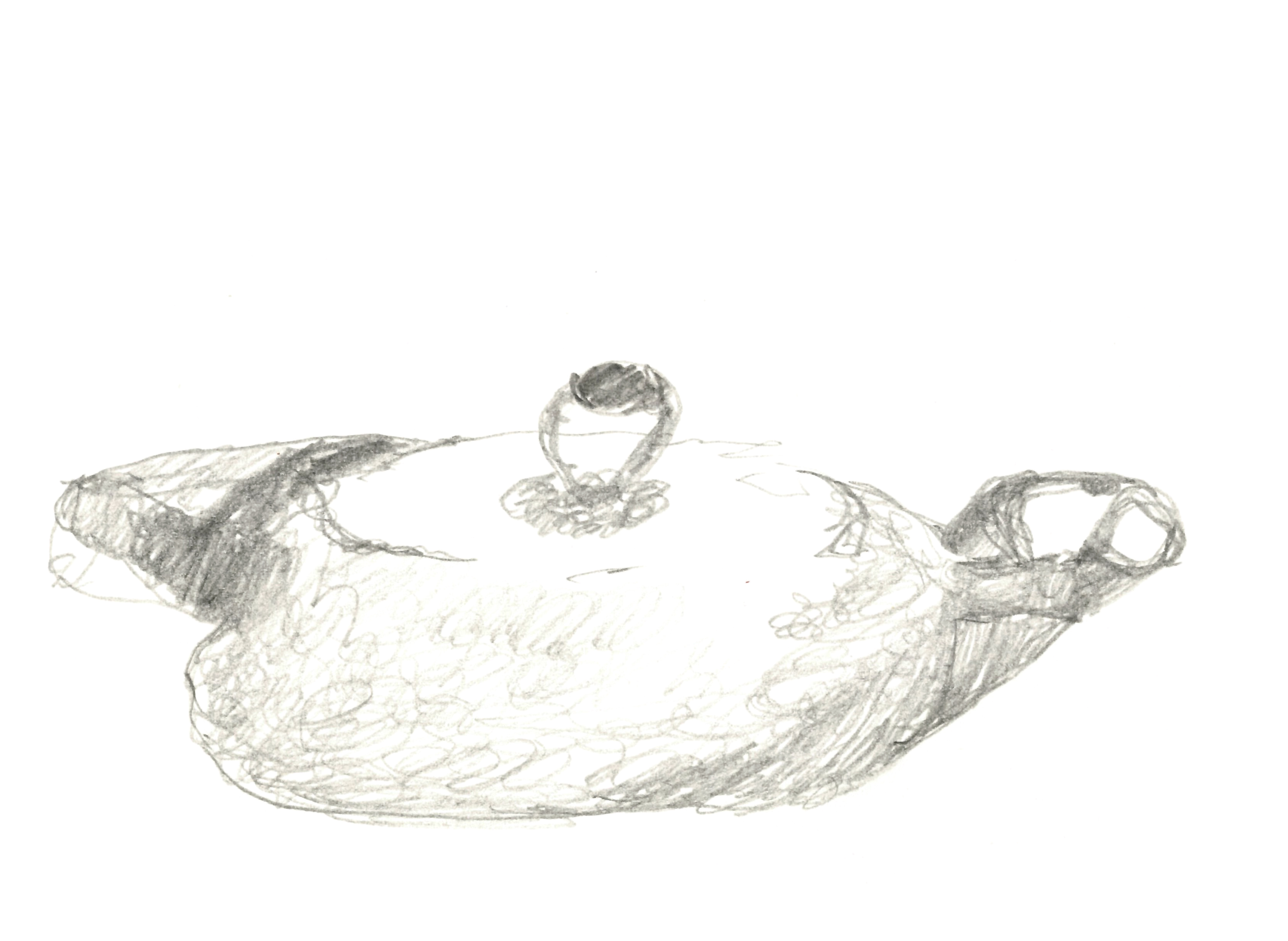 drawing in pencil of a flattish teapot