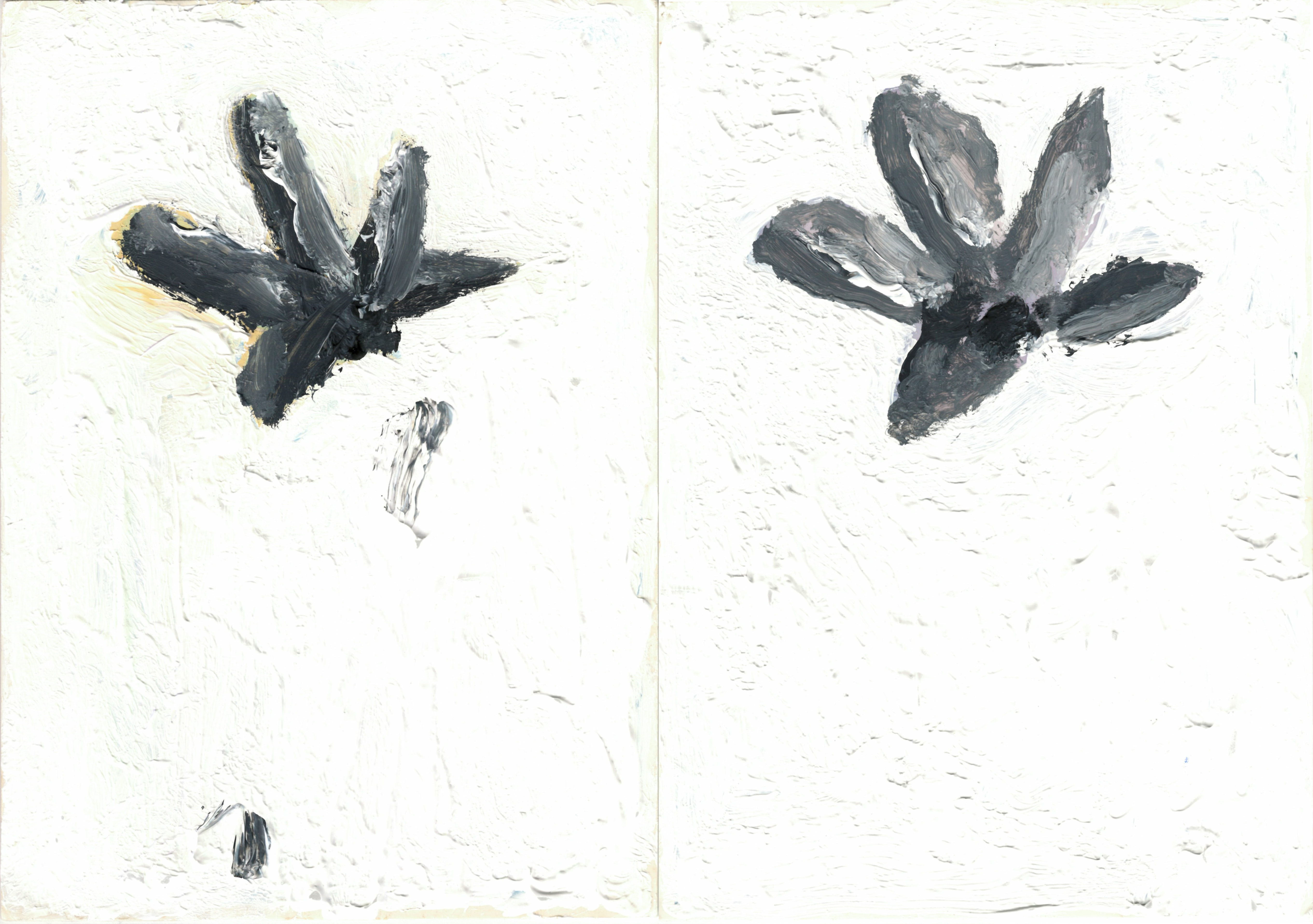 acrylic painting of two flowers without stems in grey and black floating on white backgrounds, a small vertical division separating left from right