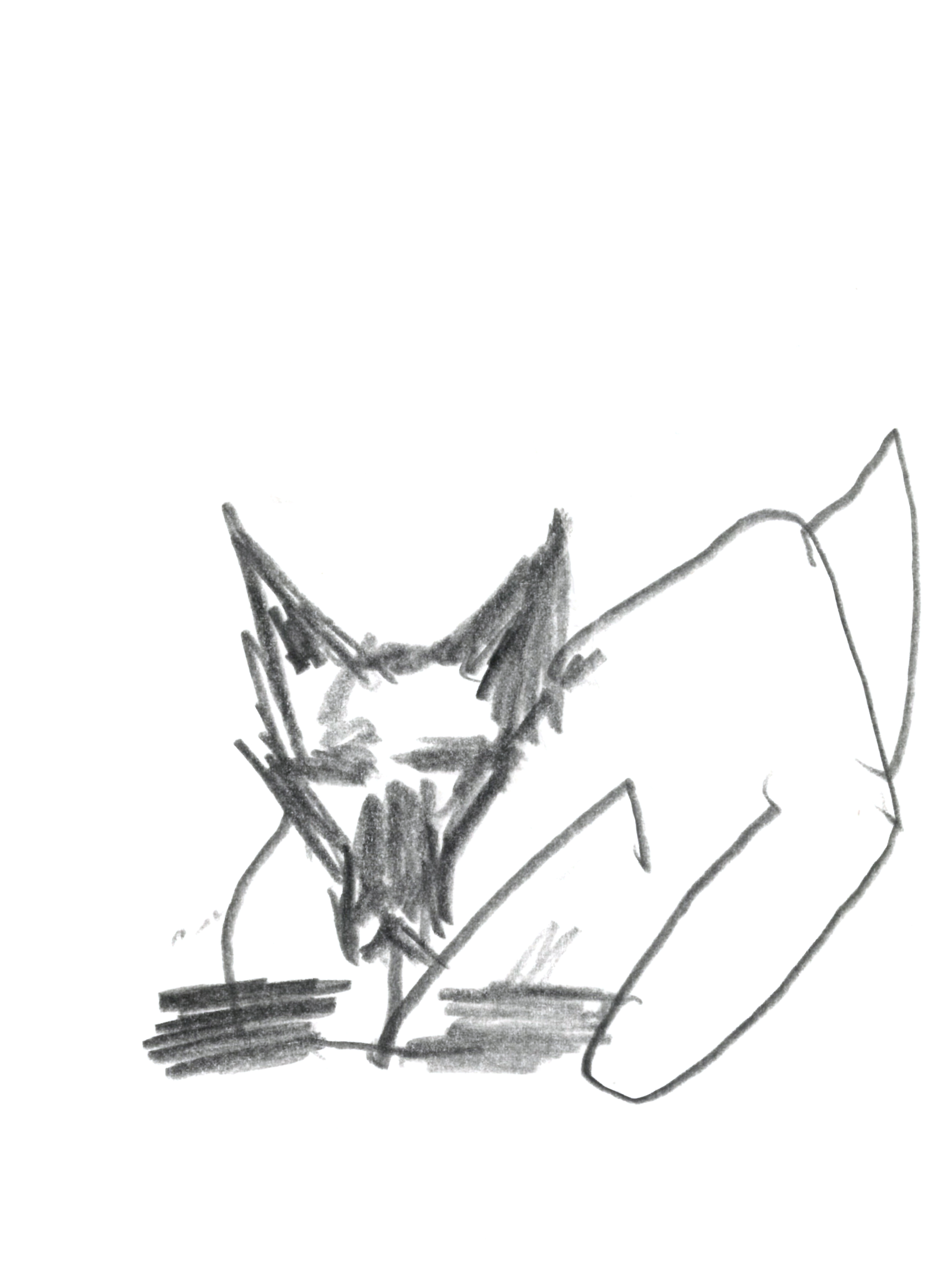drawing in pencil of a cat lying flat on its stomach with a blank expression