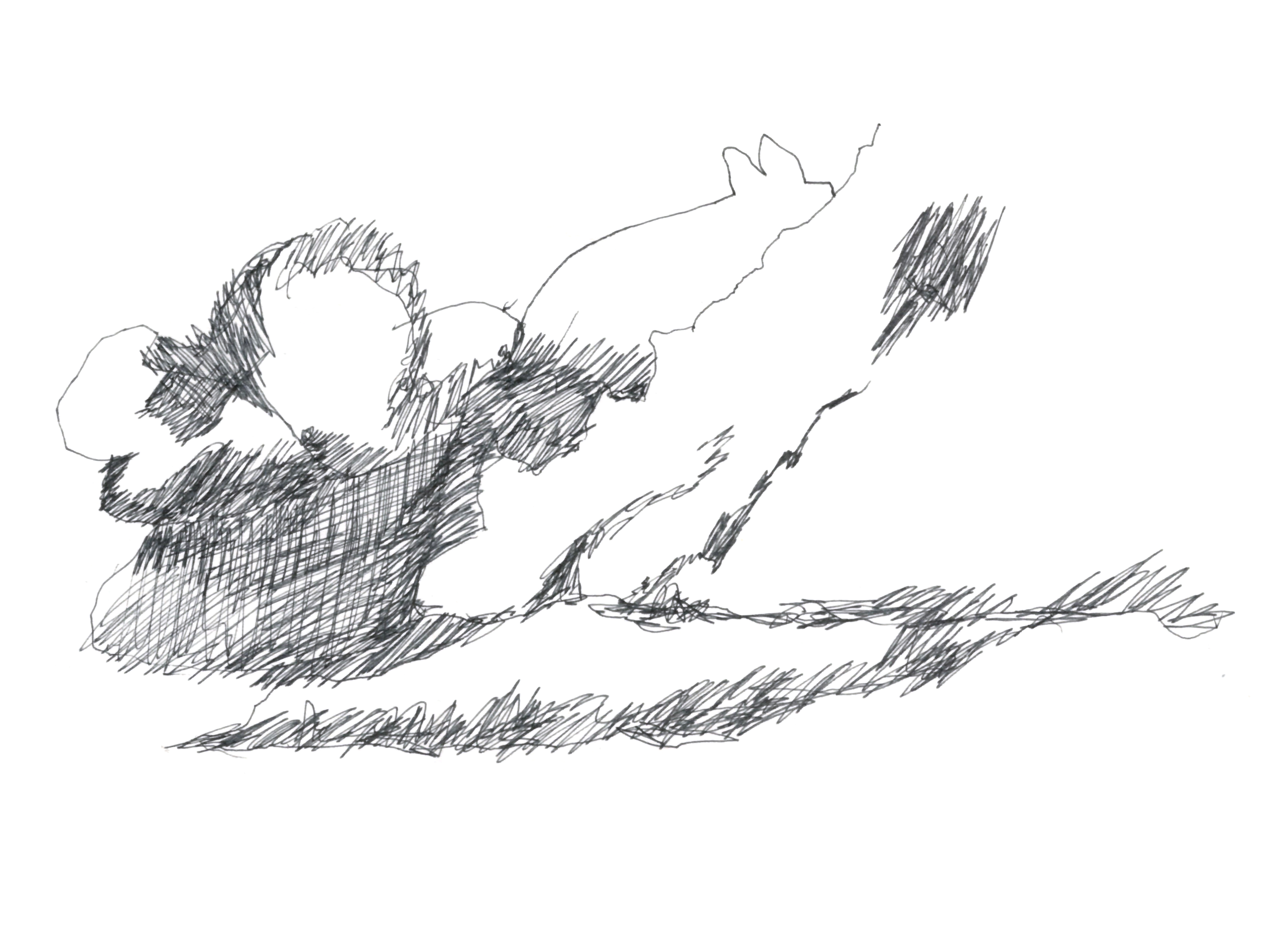 pen drawing of a small group of clouds, one resembling a small rabbit