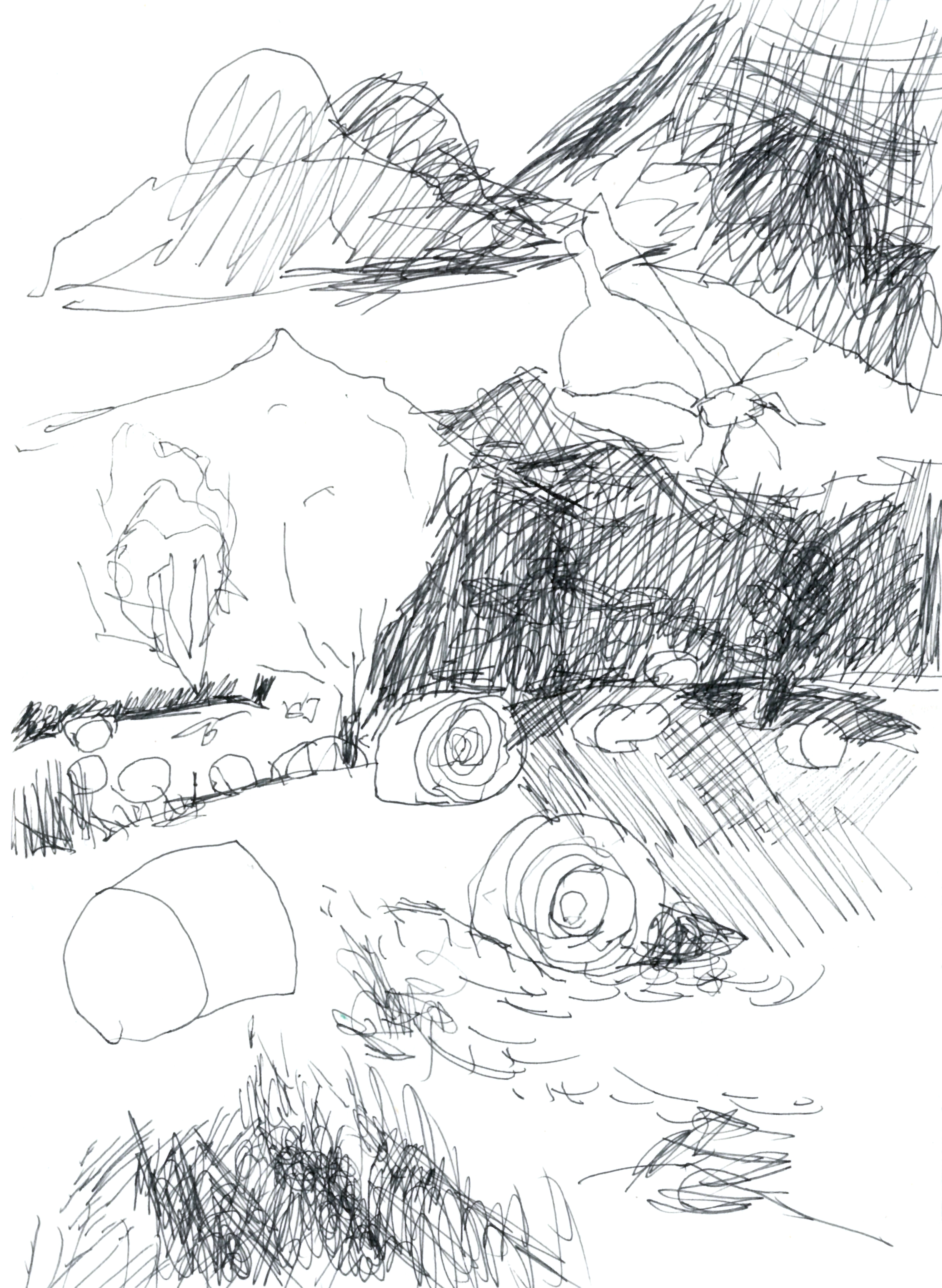 pen drawing of a french landscape with hay bales, hills, trees, grasses, a moth, and clouds above