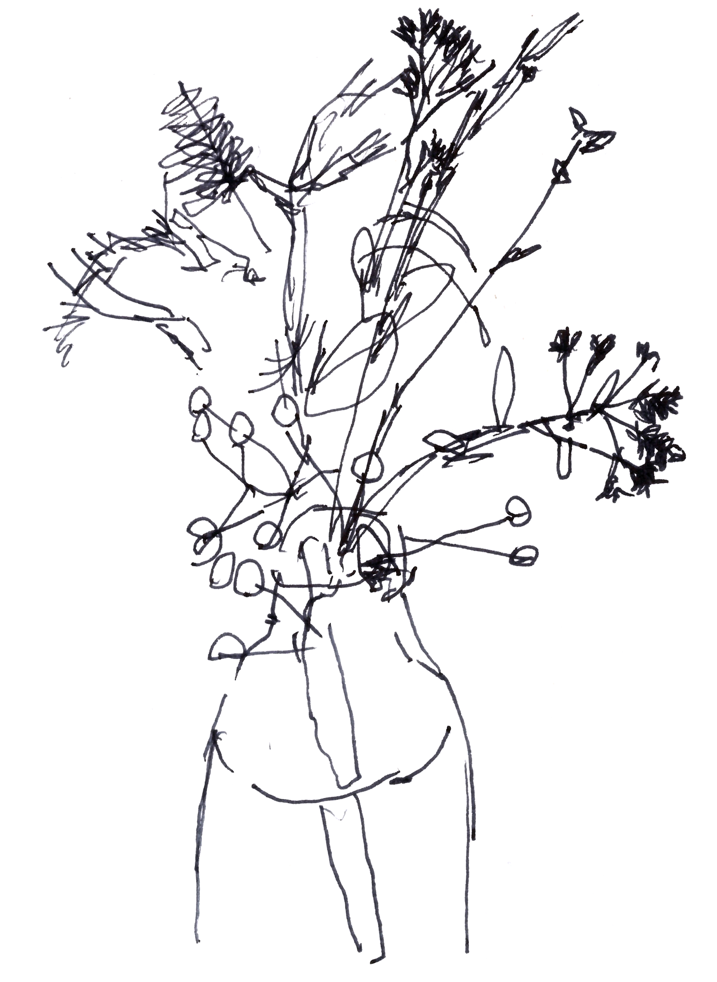 drawing in black pen of a small bouquet in a clear vessel