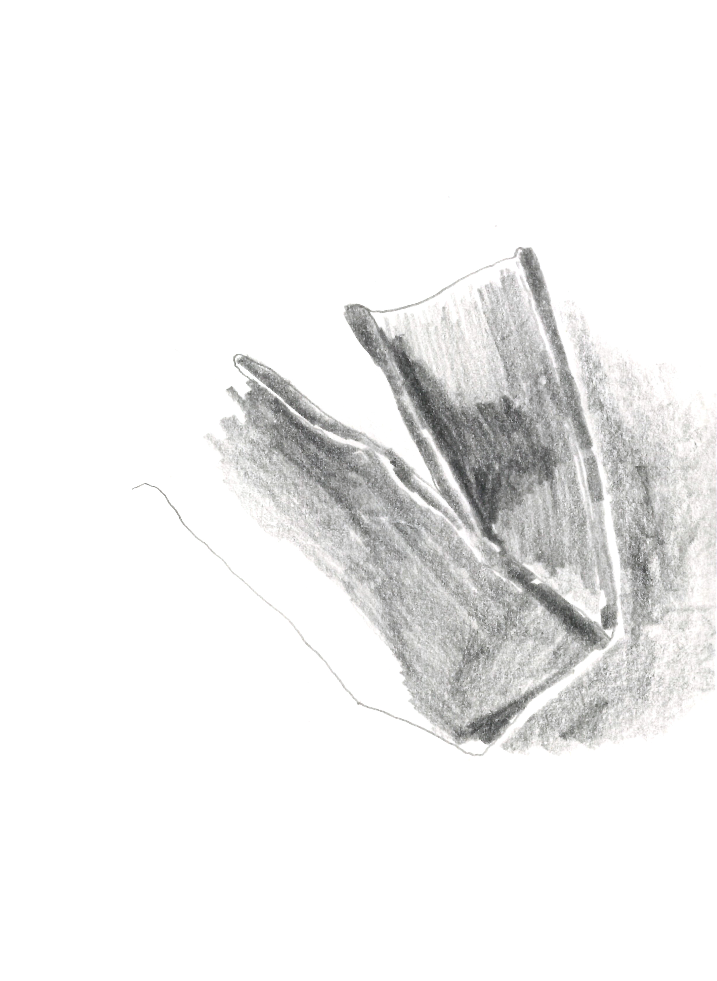 drawing in pencil of a small folded bread-tie, with shadow behind