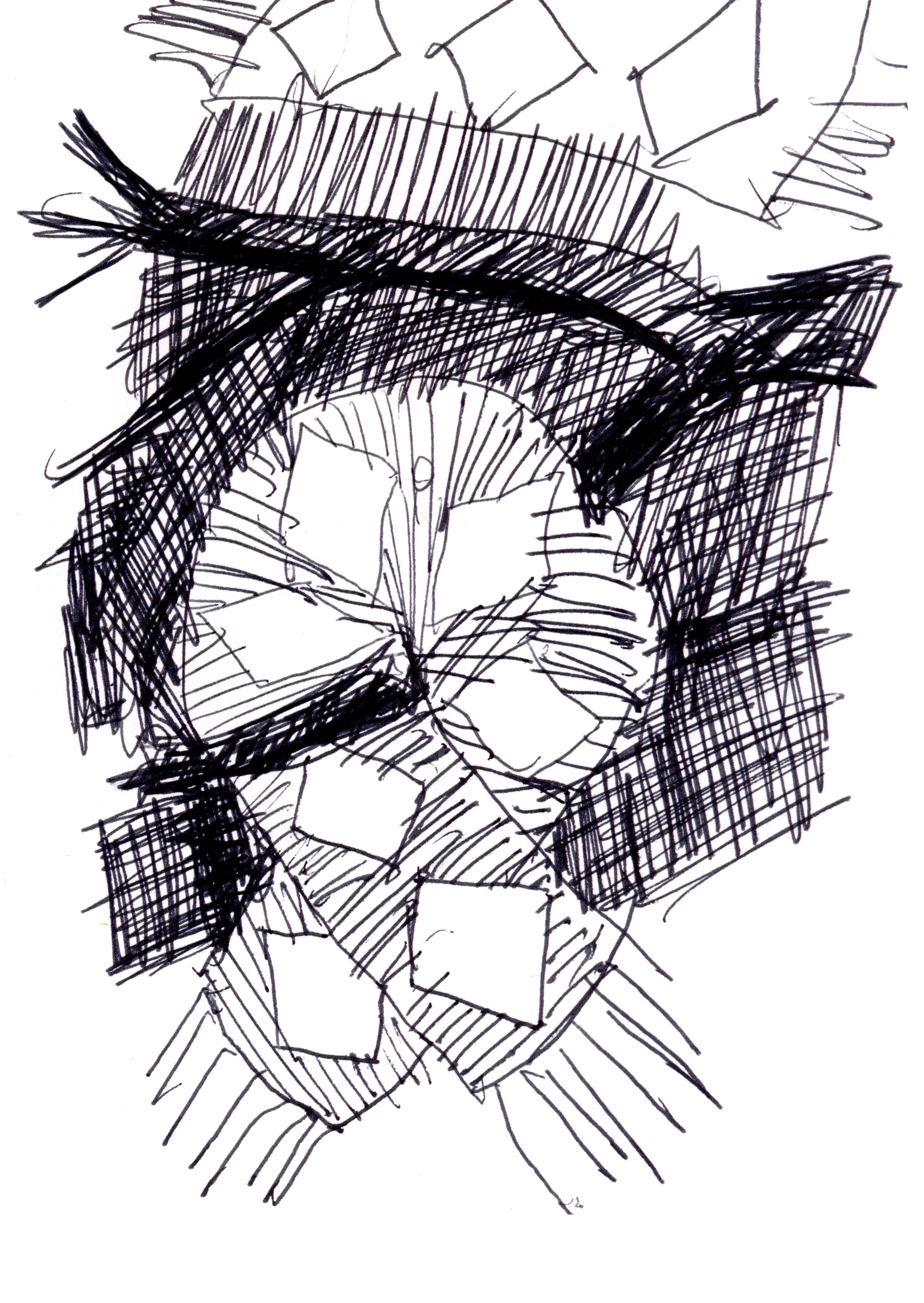 drawing in black pen of a scarf with a diamond pattern hanging from a branch