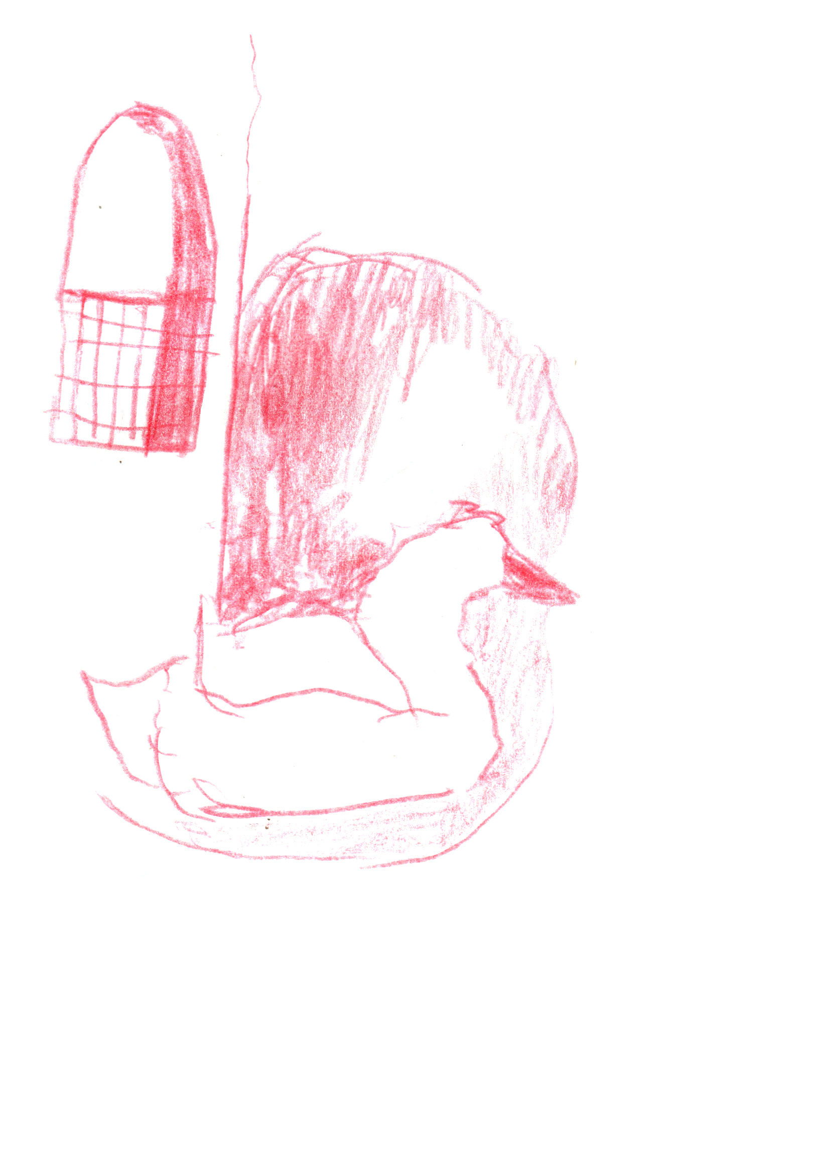 pencil drawing in red of a swan in the foreground swimming in a small pool beneath an arched window with a balustrade