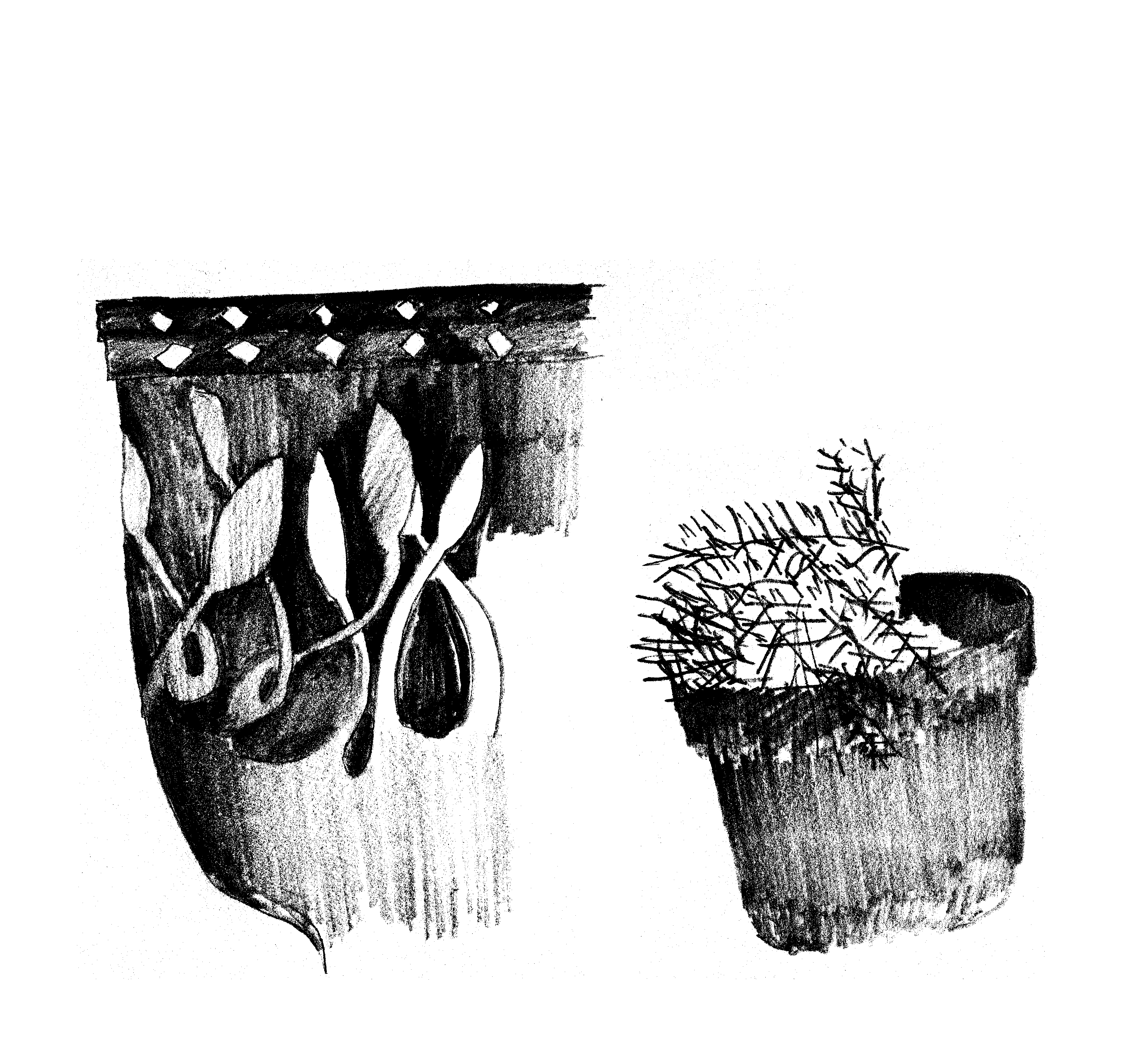 pencil drawing of a pot with an ornate vegetal pattern and a smaller pot unadorned but with small twigs coming from the top