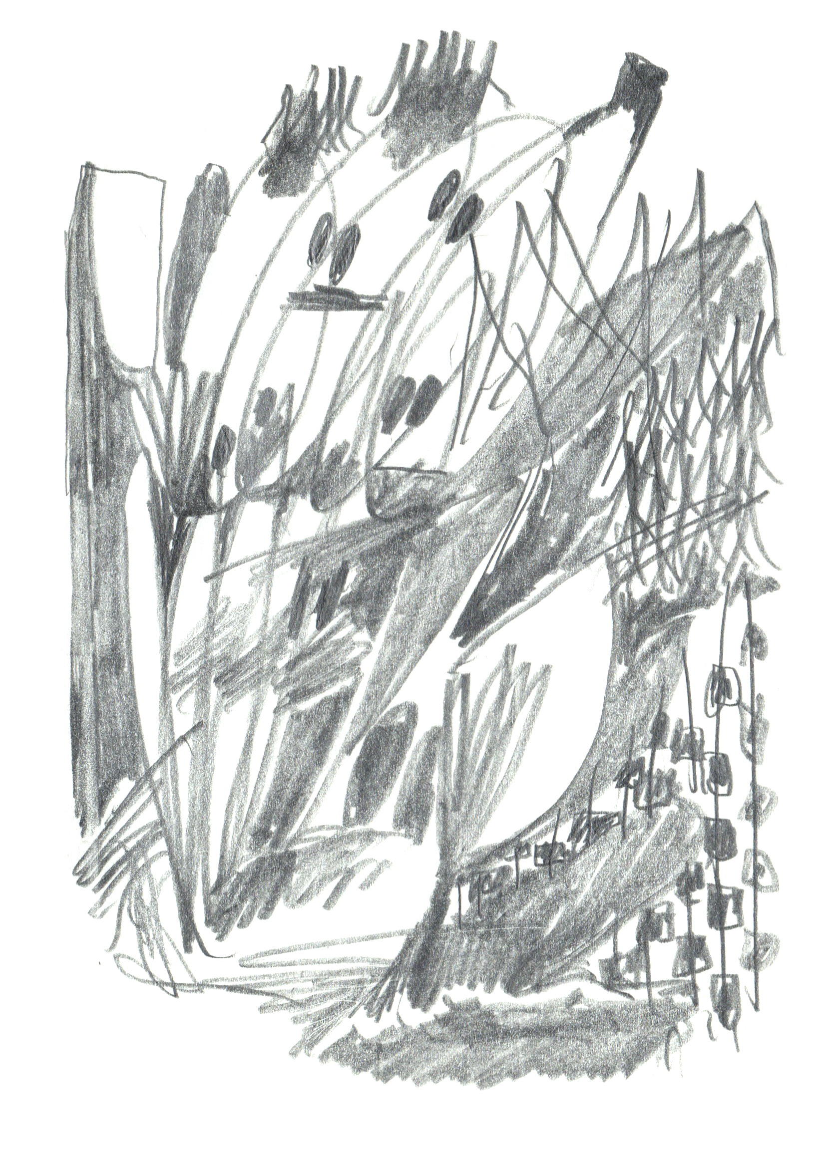 pencil drawing of overlapping shapes and patterns drawn very organically