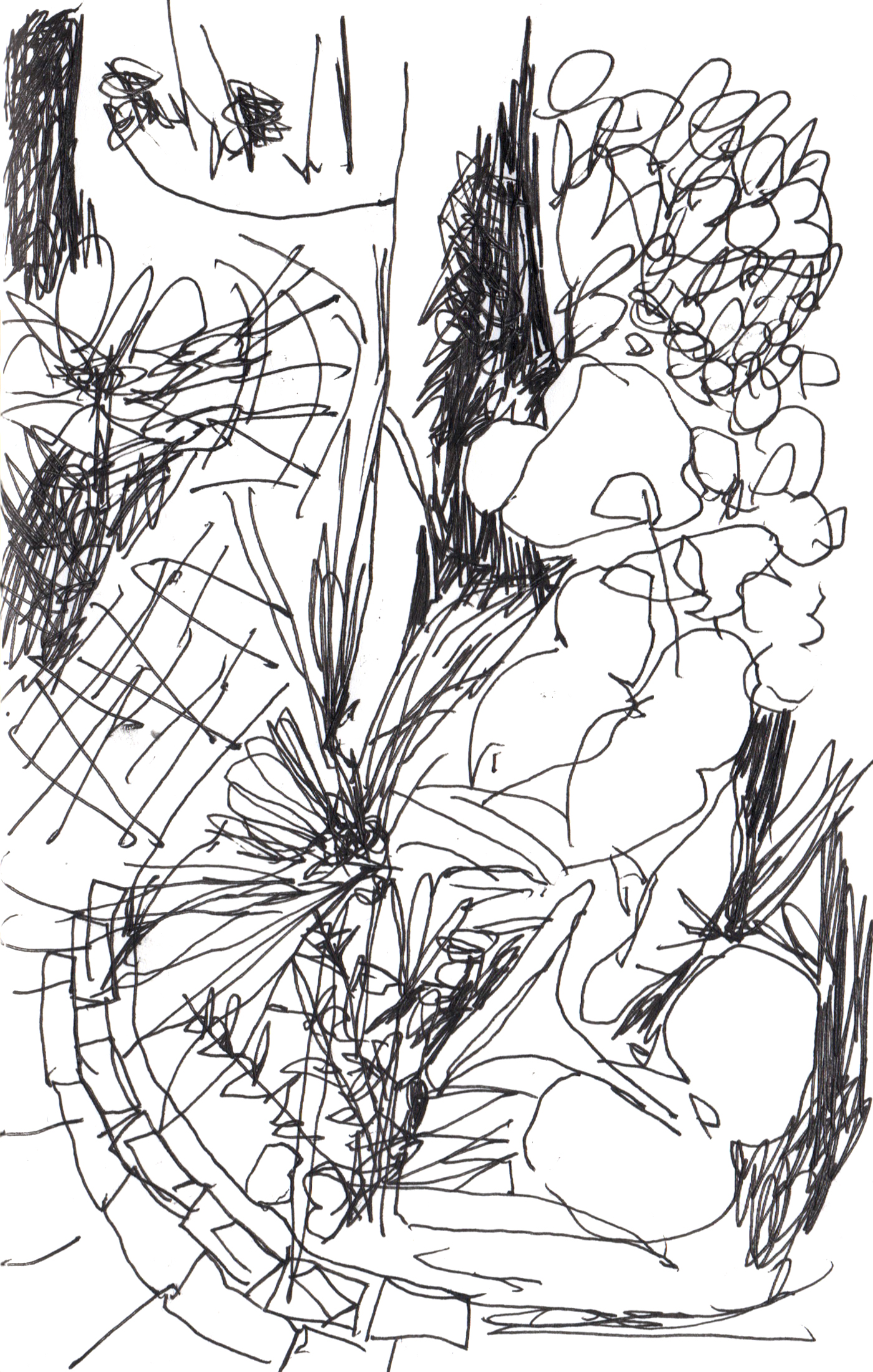pen drawing of a winding brick path surrounding trees and bushes 