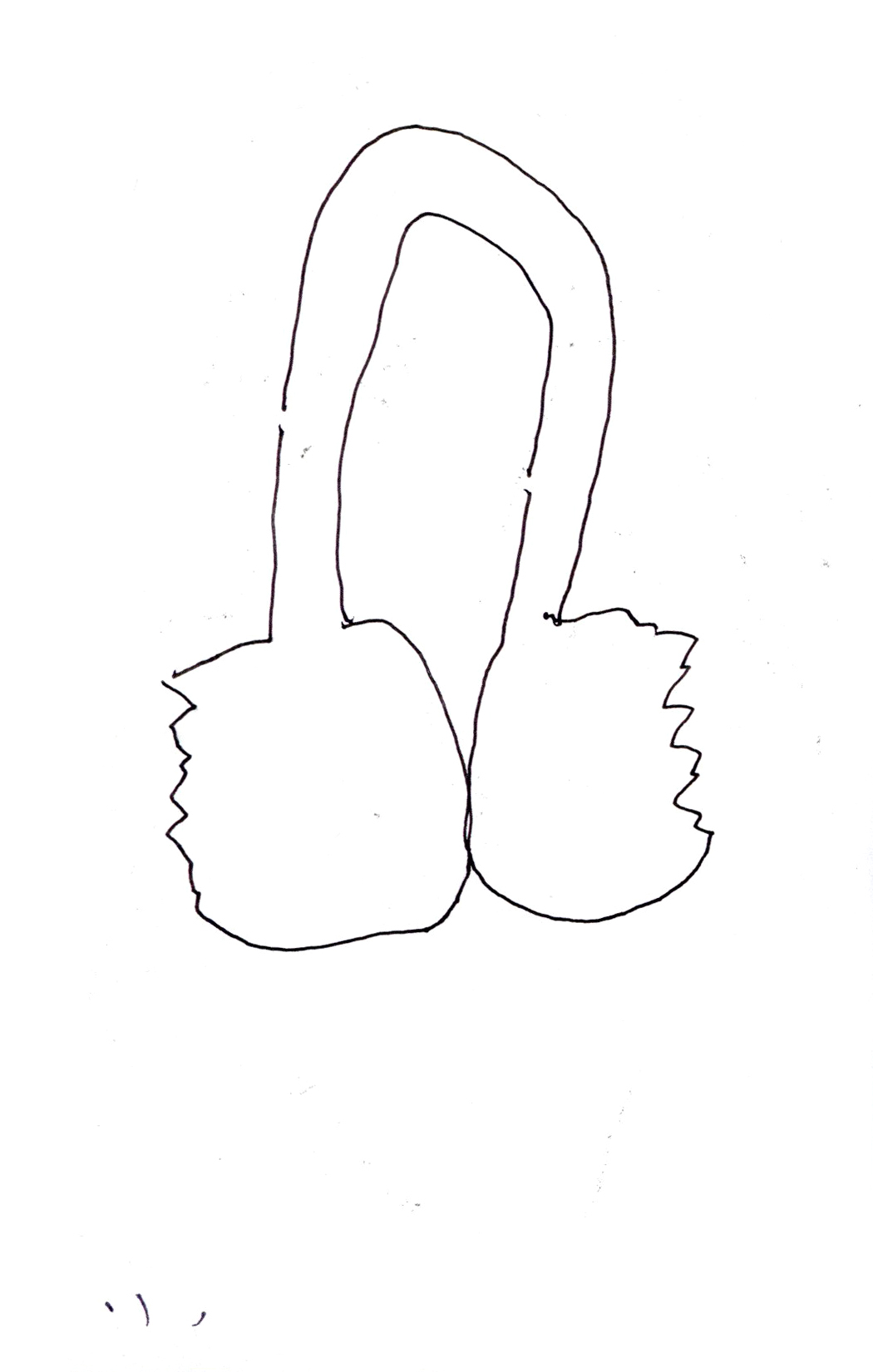 drawing in black pen of two cherries connected by a stem