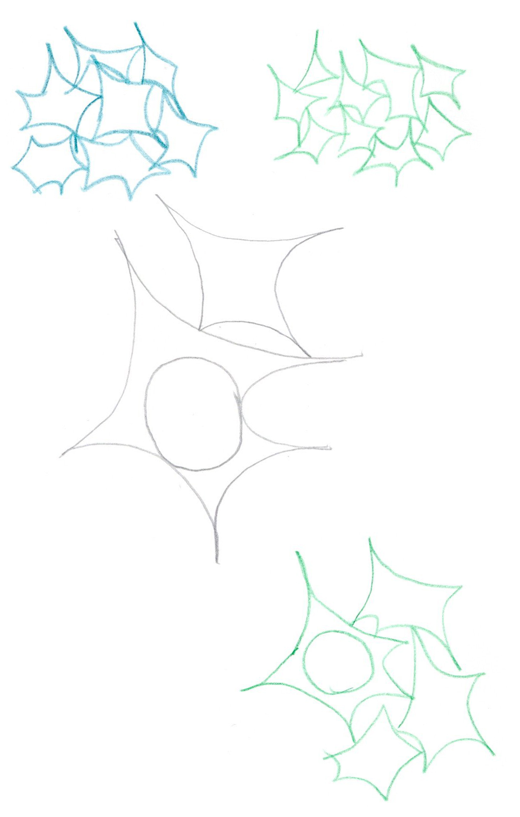 drawing in pencil and blue/green colored pencil of star shapes touching and interlocking