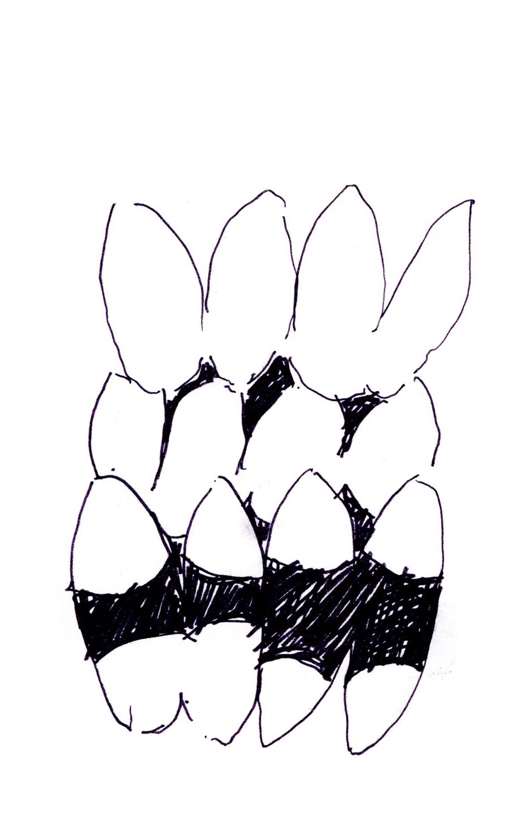 drawing in black pen of oblong shapes wrapped in black wrappers