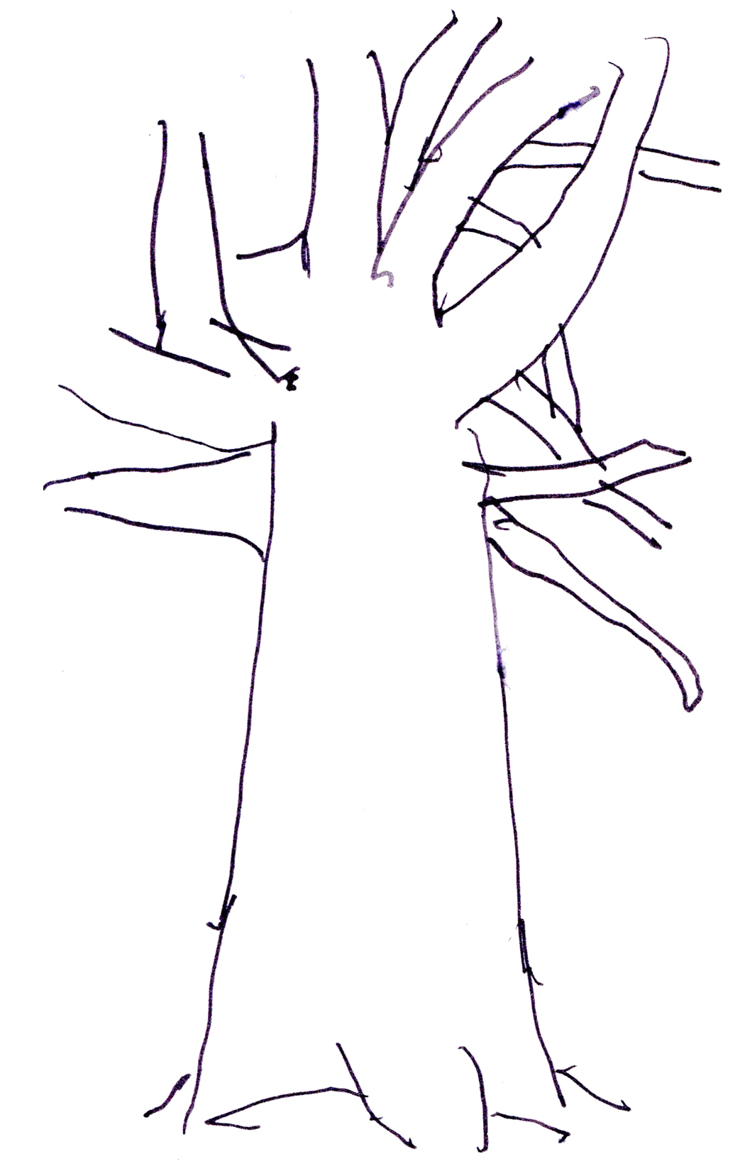drawing in black pen of a tree trunk rising up with its upper branches splayed wildly
