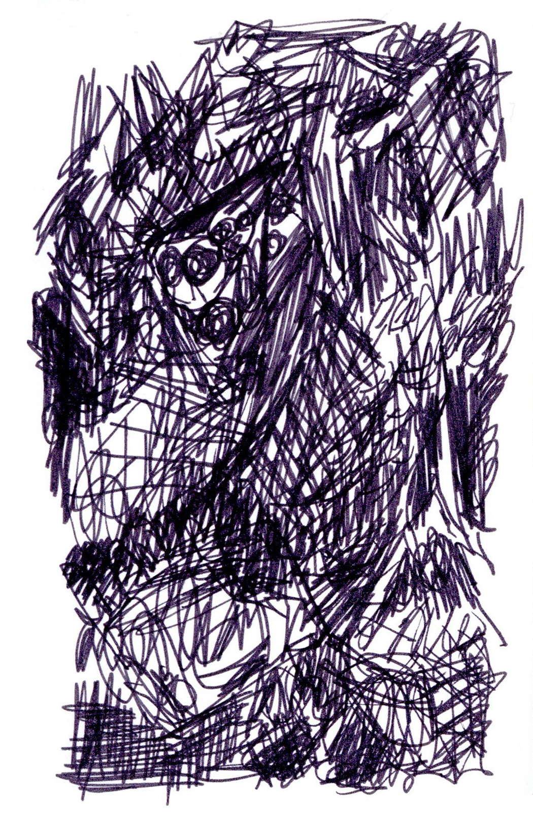 drawing in black pen of a dense landscape and brush