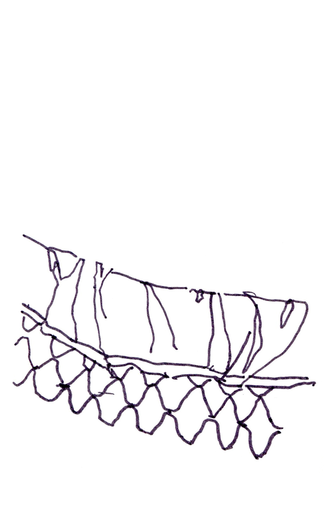 drawing in black pen of a folded fabric over a mesh