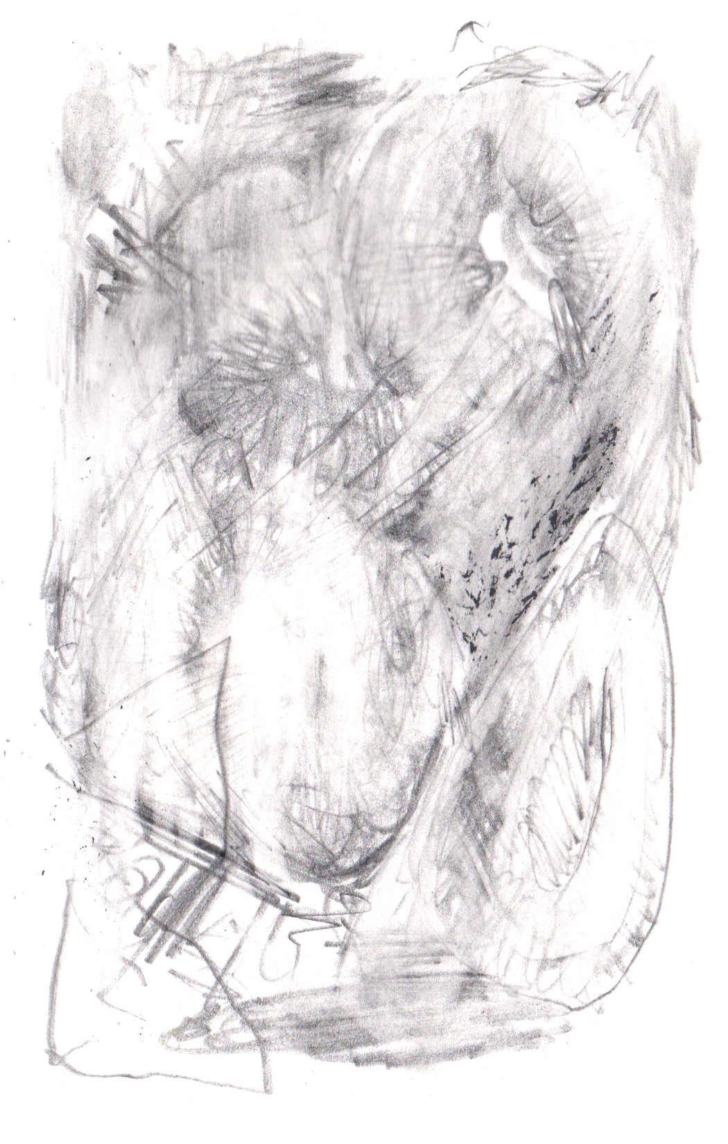 pencil drawing of a blurry, mostly erased organic figure