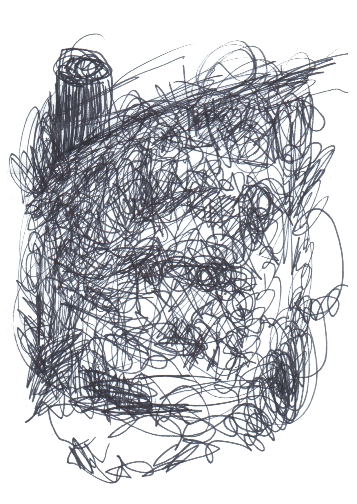 scratchy drawing in black pen of an organic shape