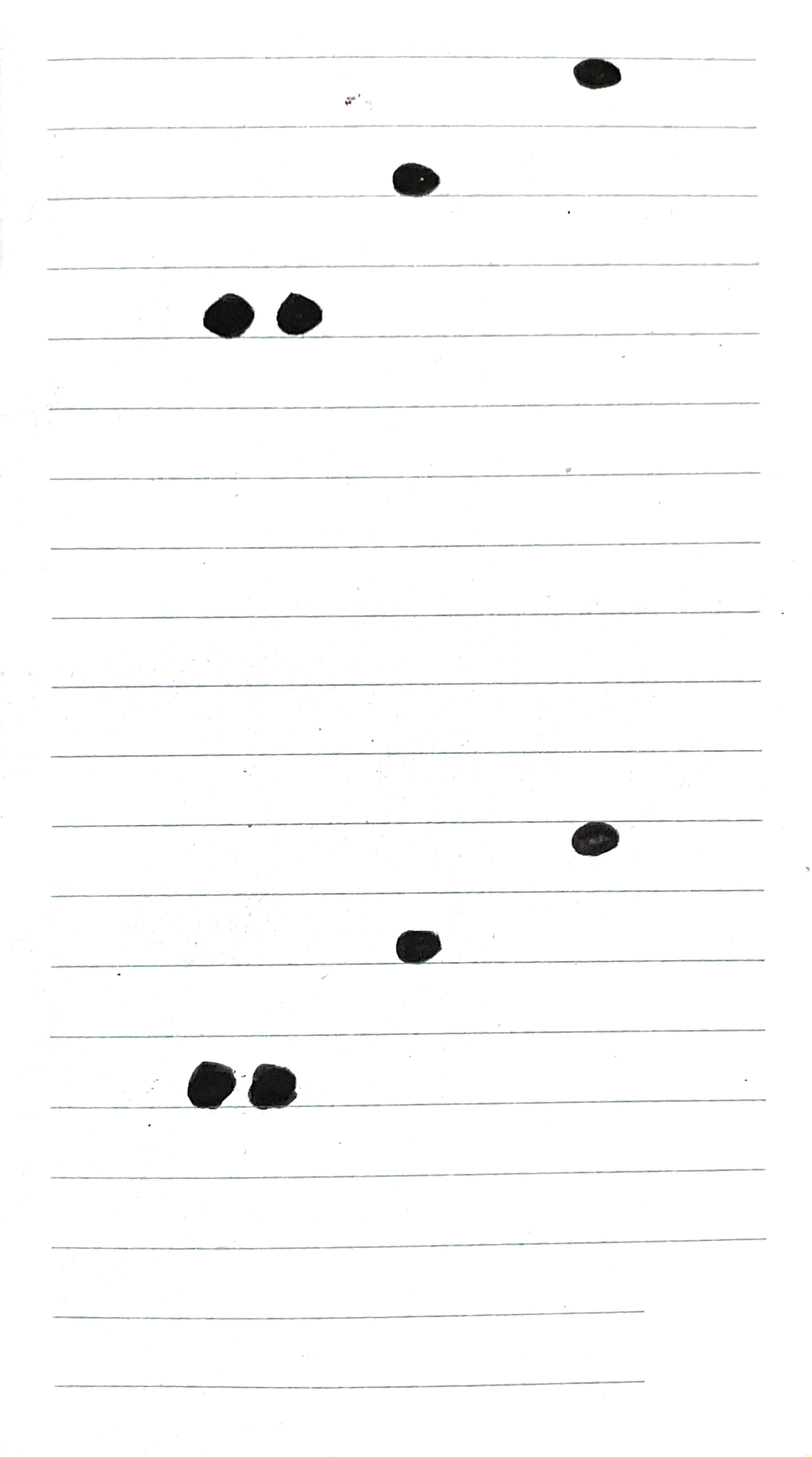 pen drawing of circles sitting on lined paper