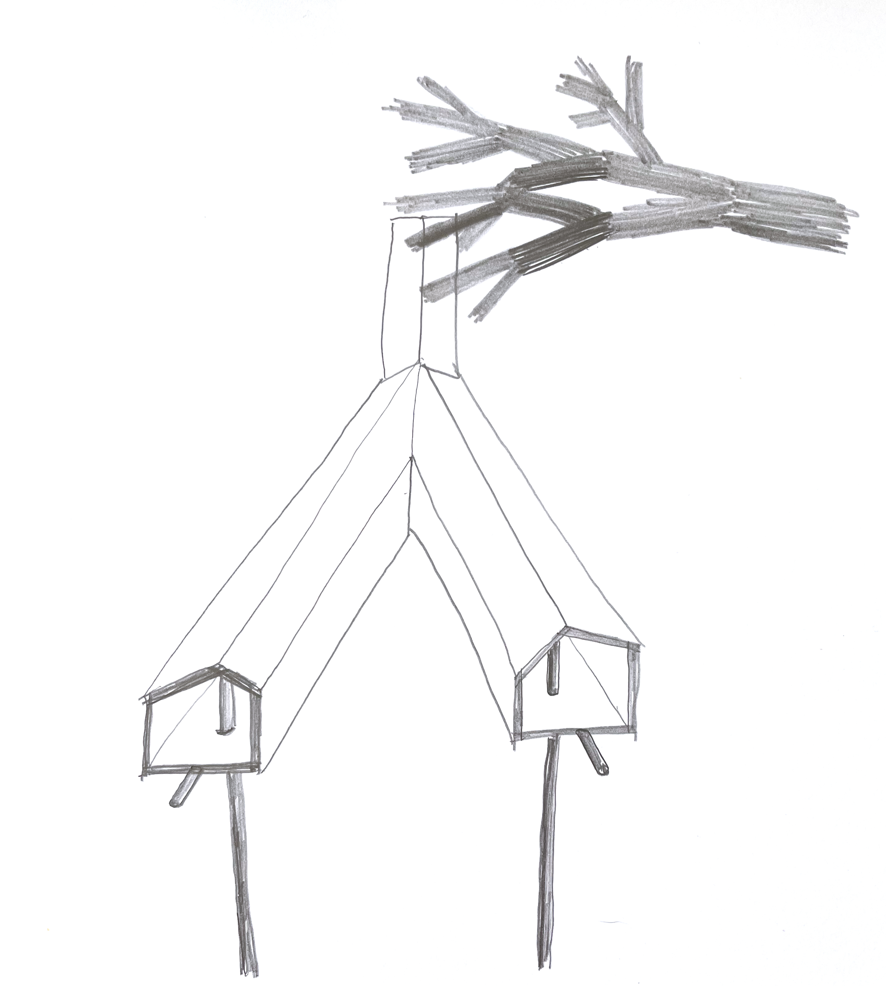 a branch drawn in pencil hangs over a double-barreled birdhouse, a birdhouse in a Y-shape with two separate entrances
