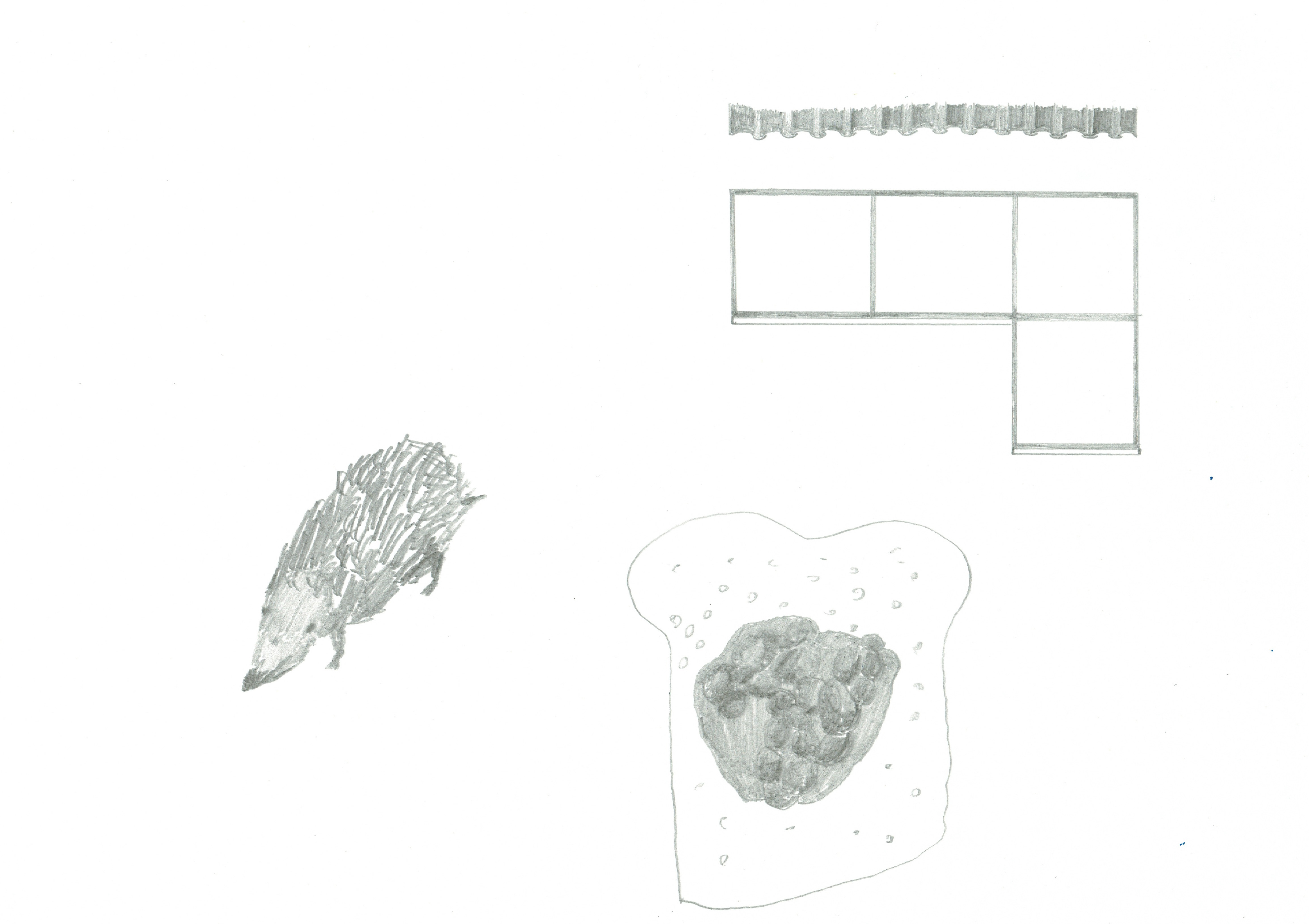scattered drawings in pencil. one of a hedgehog on the left, beans on toast on the bottom, and four windows with roof overhang in top right
