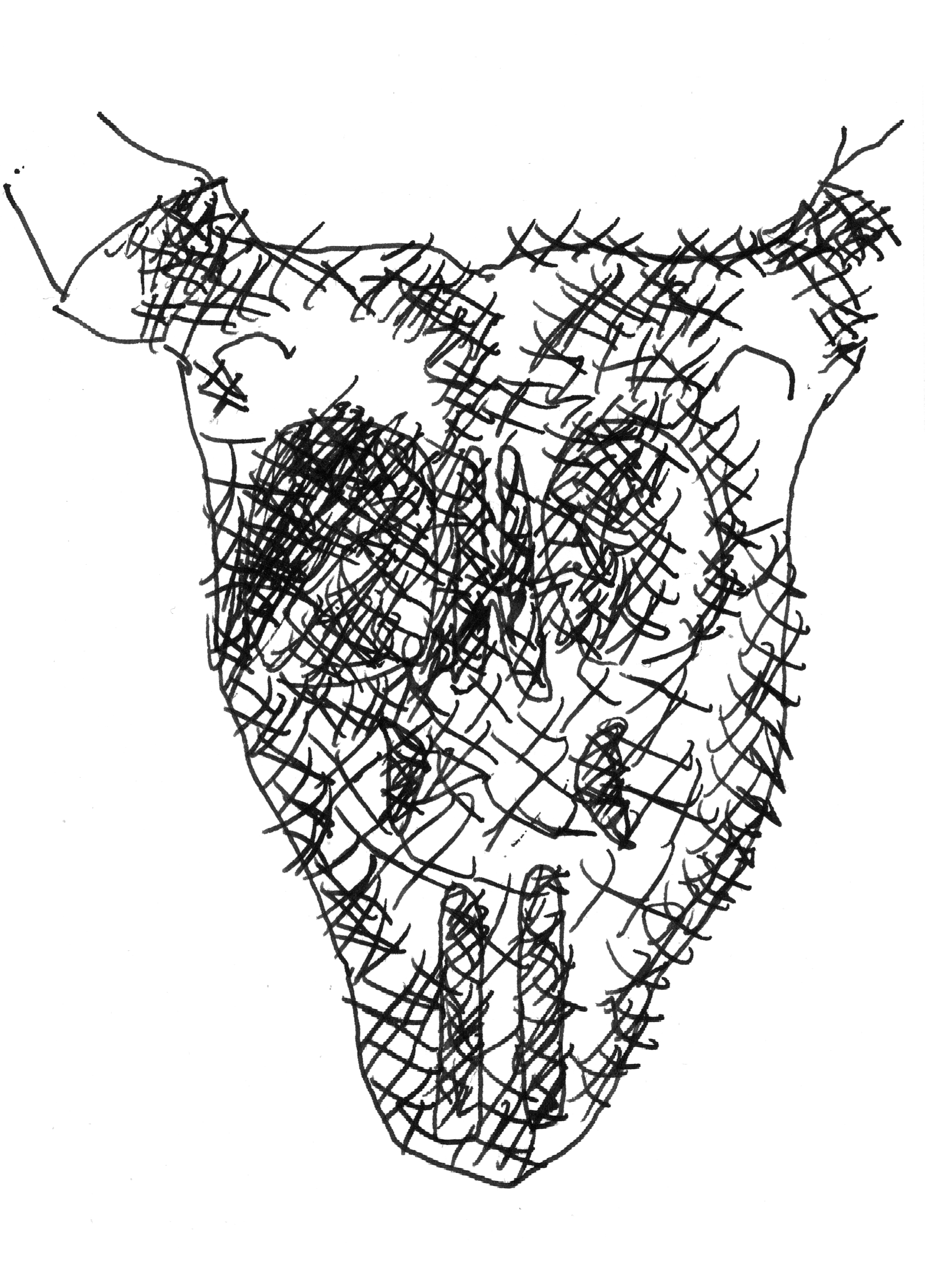 pen drawing of an ox-skull with cross hatching of small x's