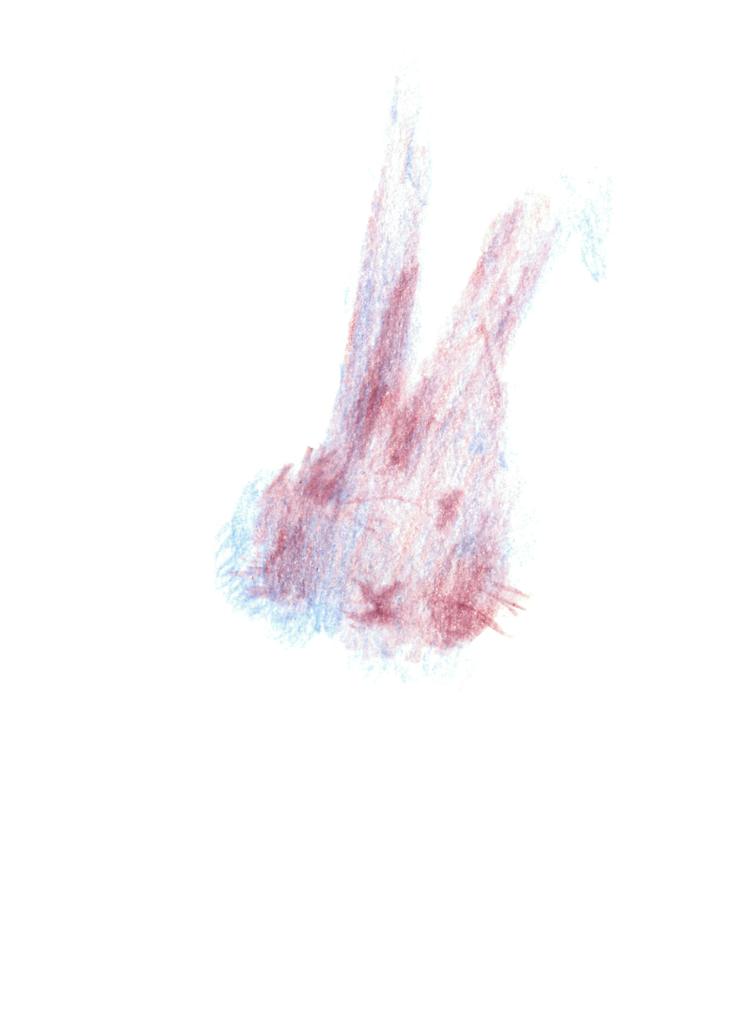 colored pencil drawing in pinks and light blues of the face of a rabbit without a body
