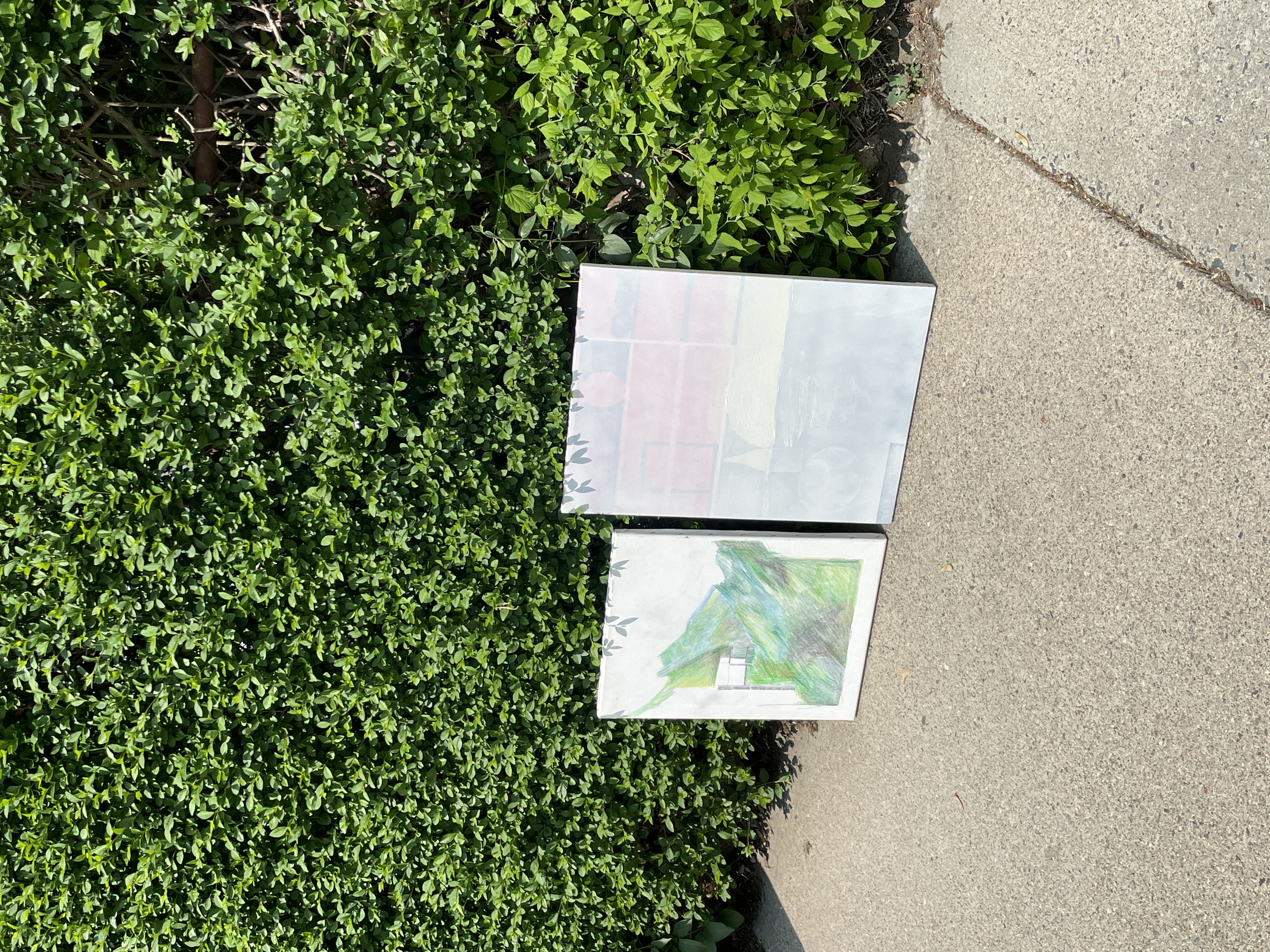 two drawings on canvases sitting on the sidewalk leaning against a green bush