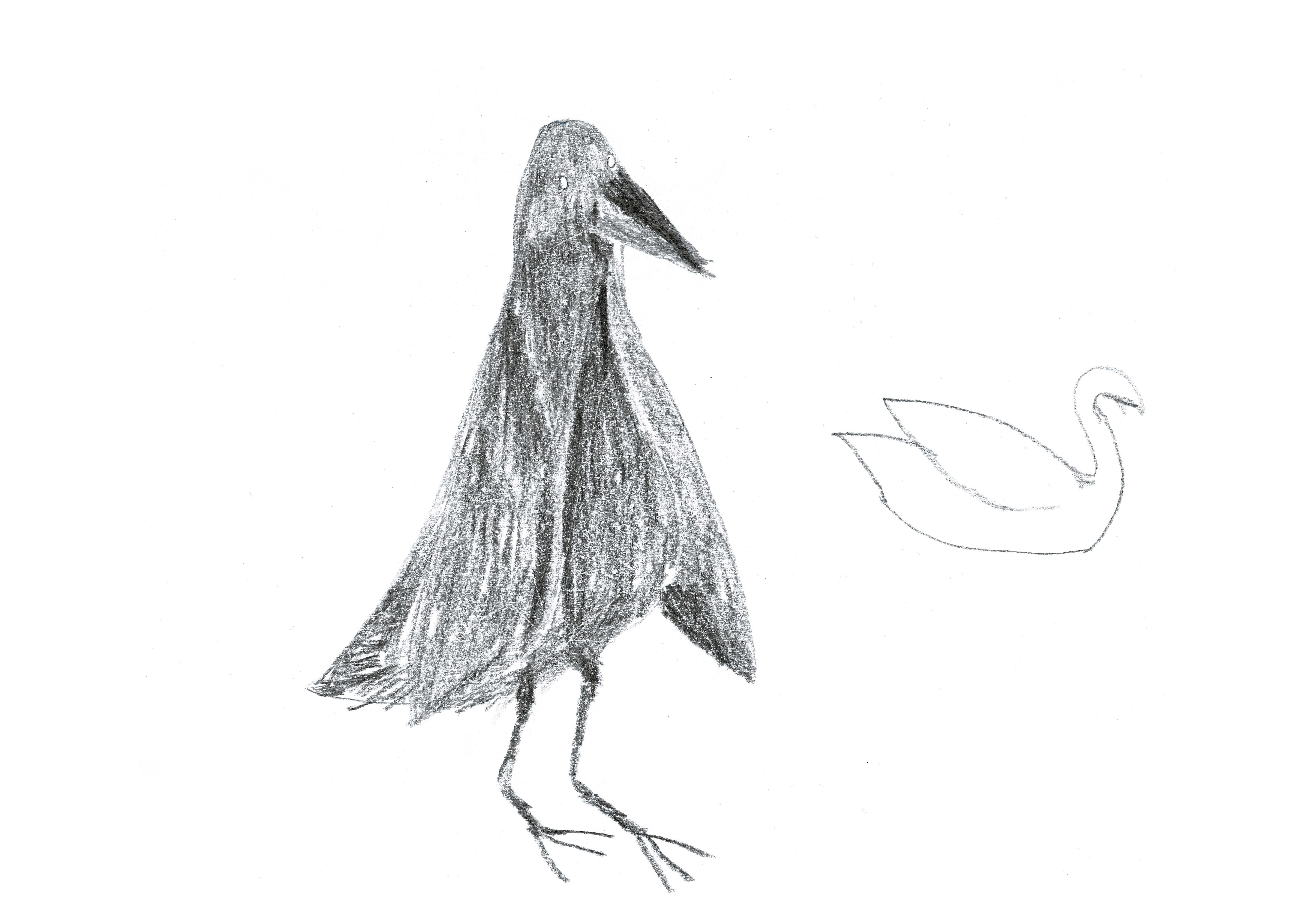 pencil drawings of a crow standing up and shaded, and the silhouette of a swan to the right