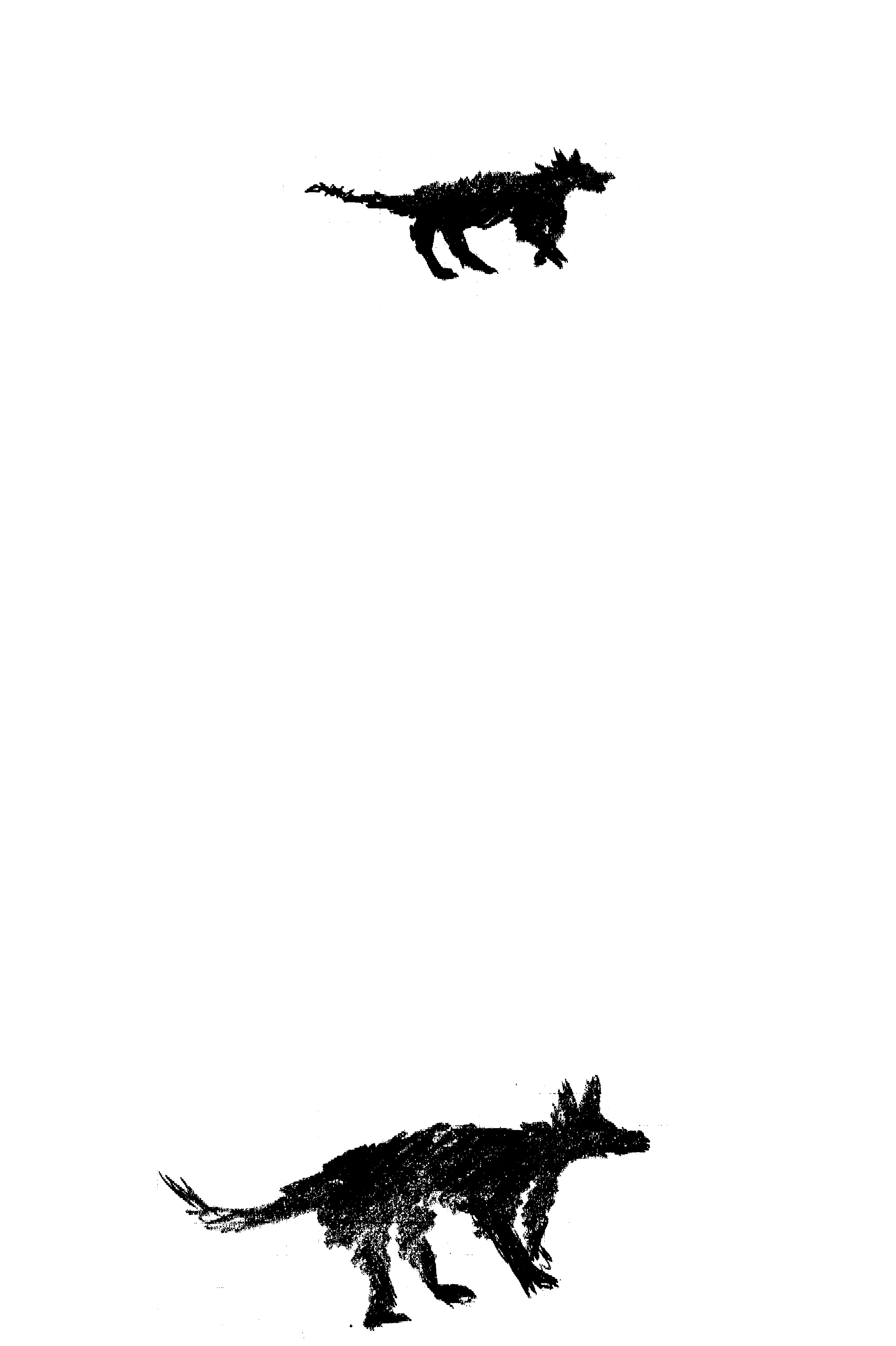 two drawings of dogs facing the right