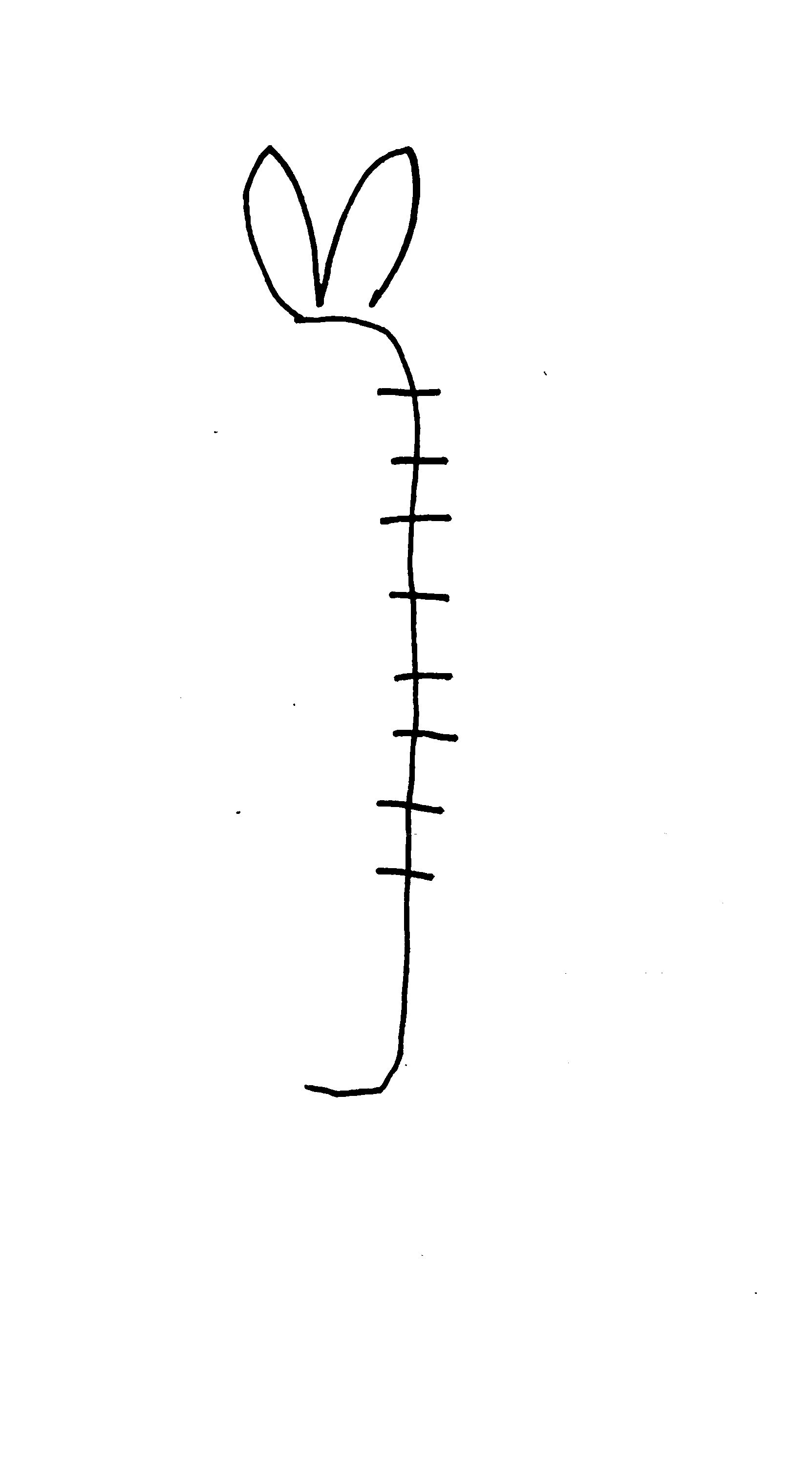 pen drawing of a ladder with bunny ears