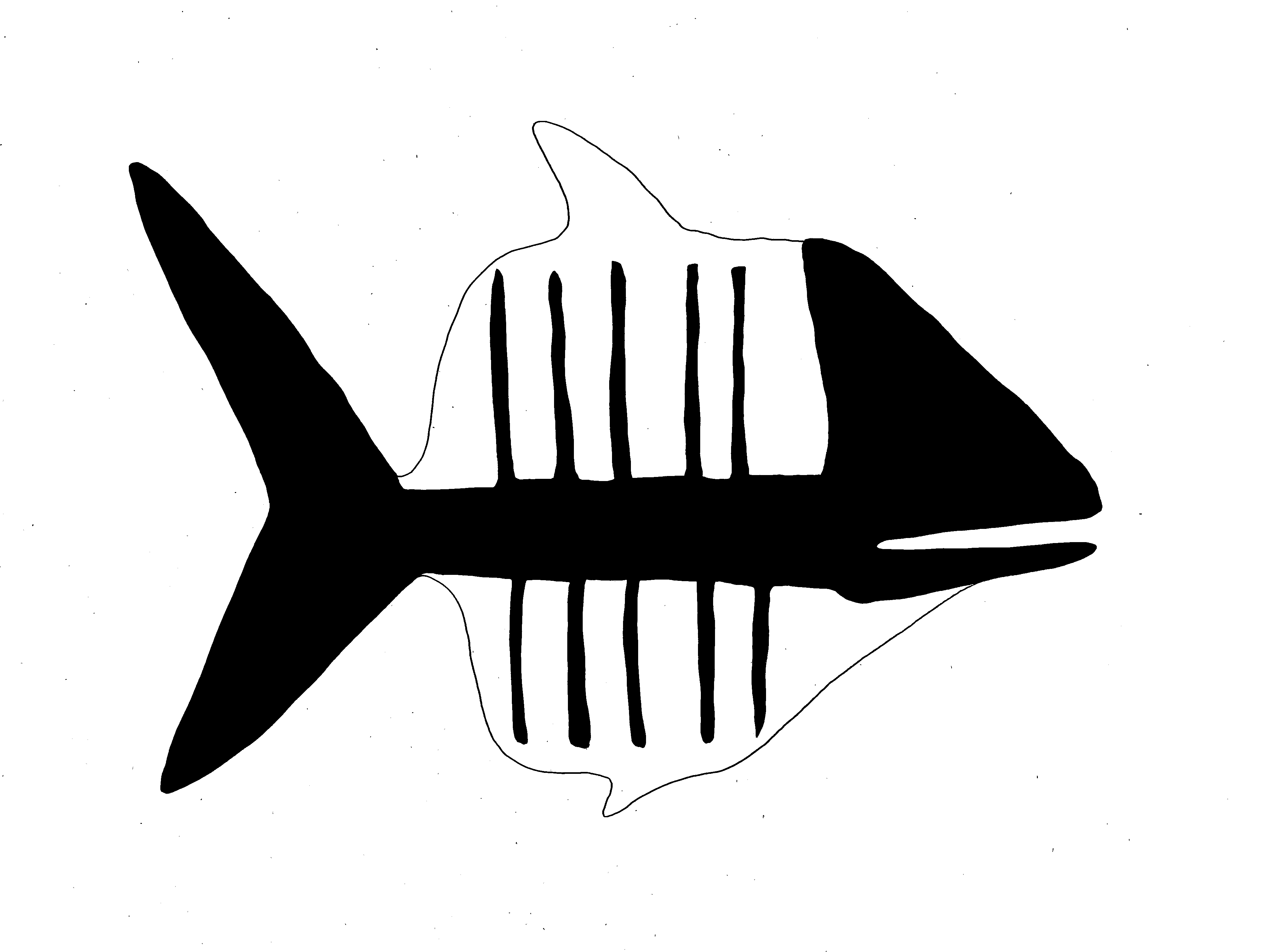 drawing in black and white of a fishbone from the side