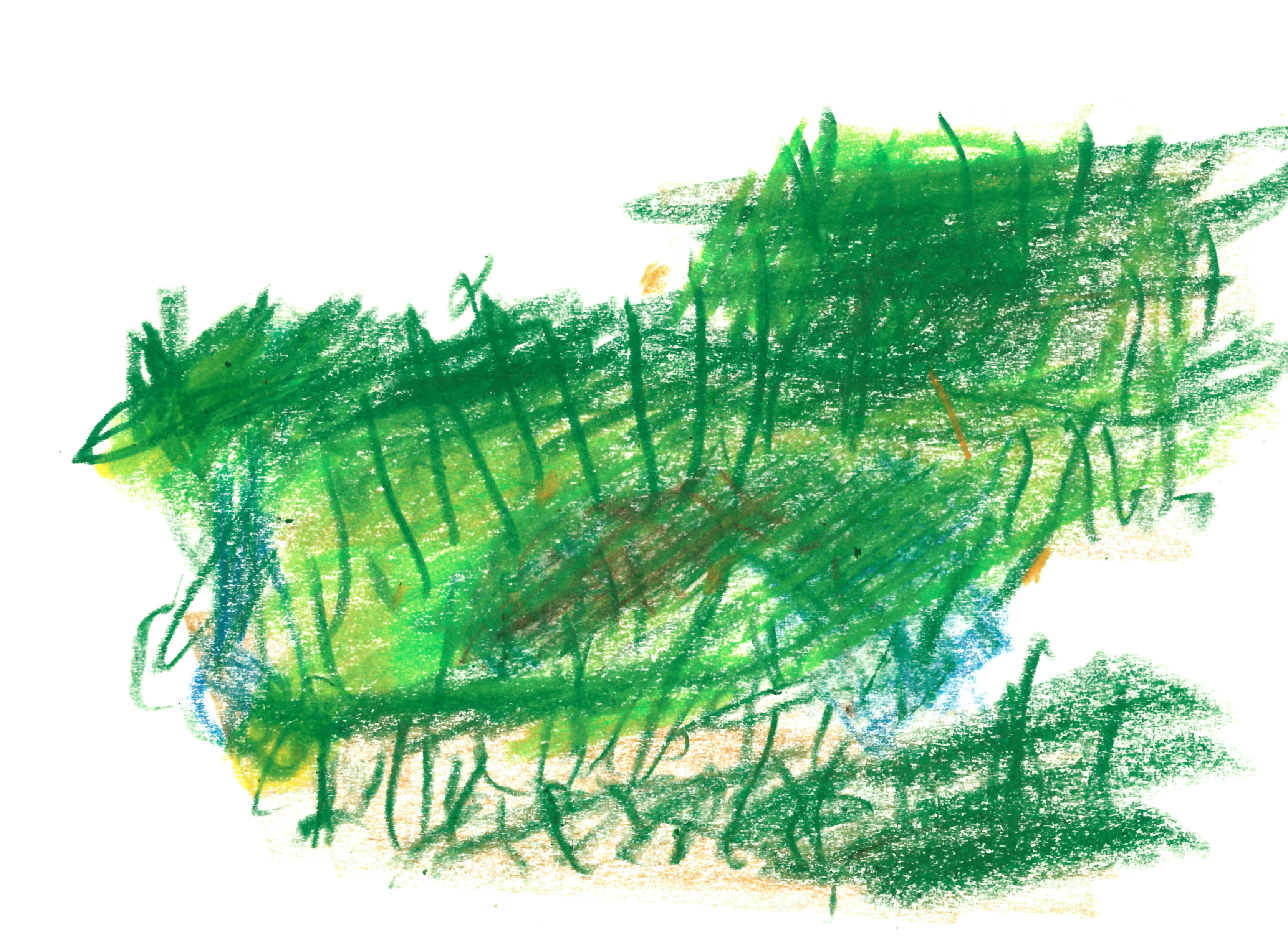 colored pencil drawing in greens, beiges, and blues of a small landscape with grass