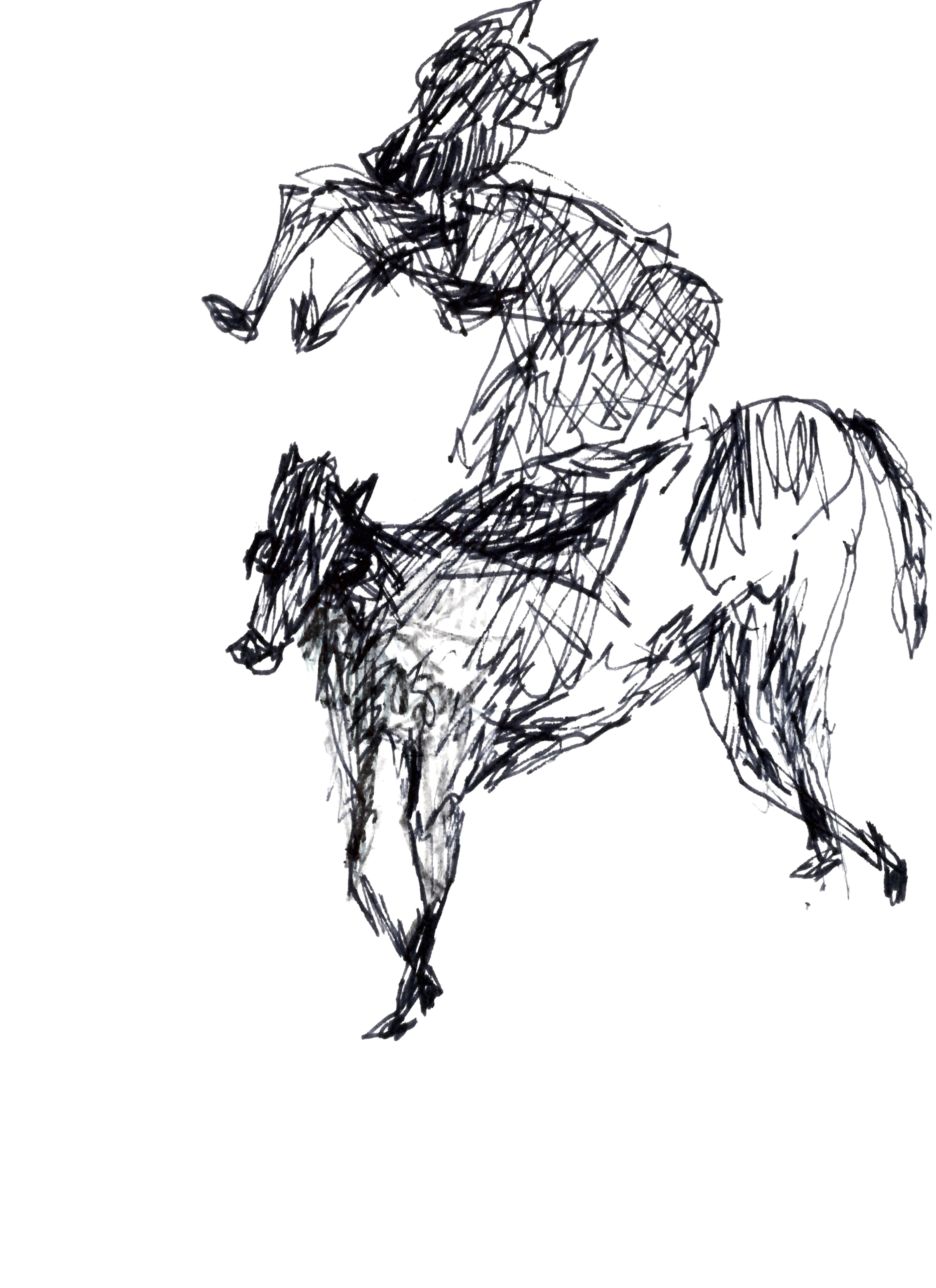 pen drawing in black of a horse with a dog jumping on it