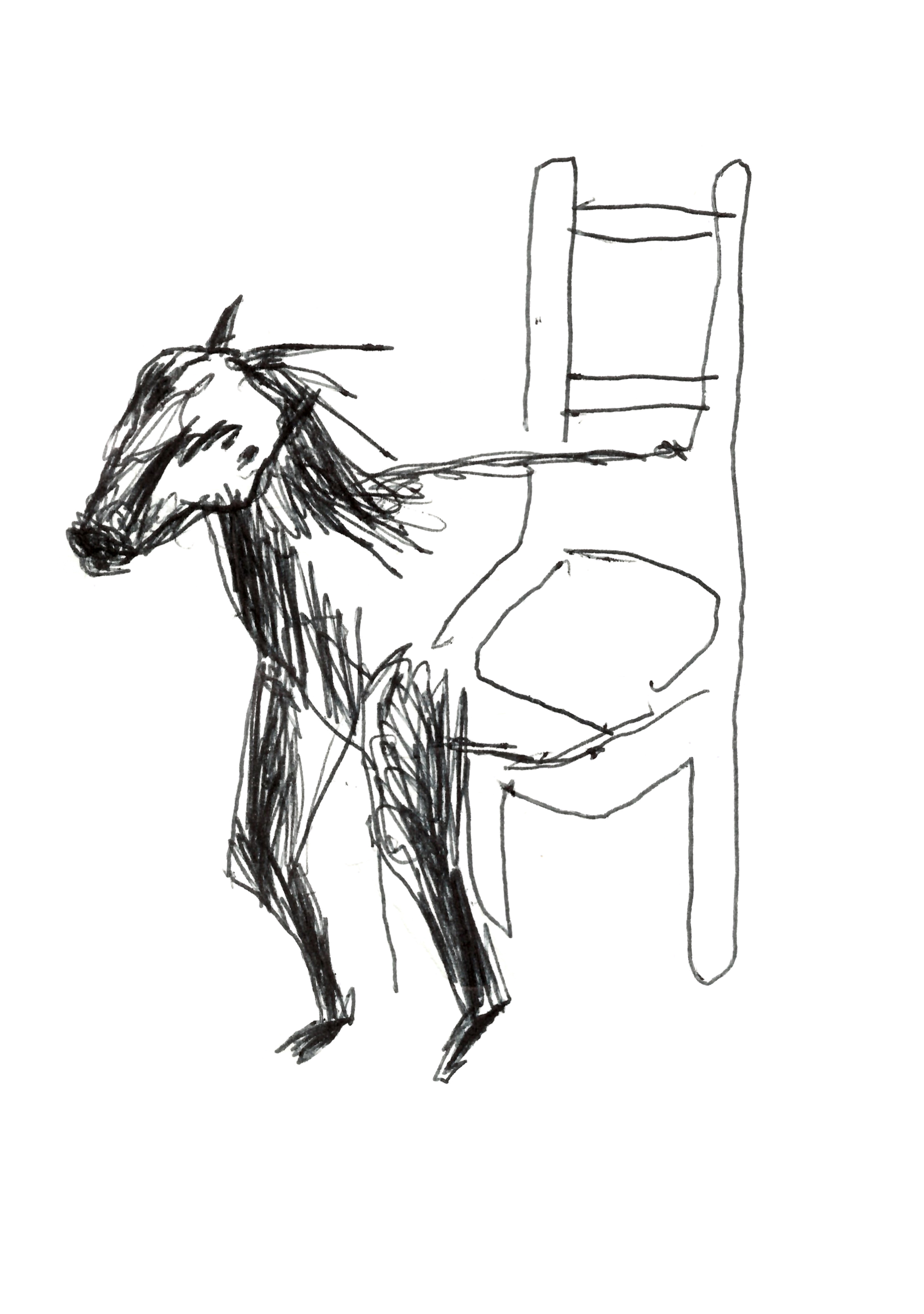 pen drawing in black of the front of a horse with the rear of a chair