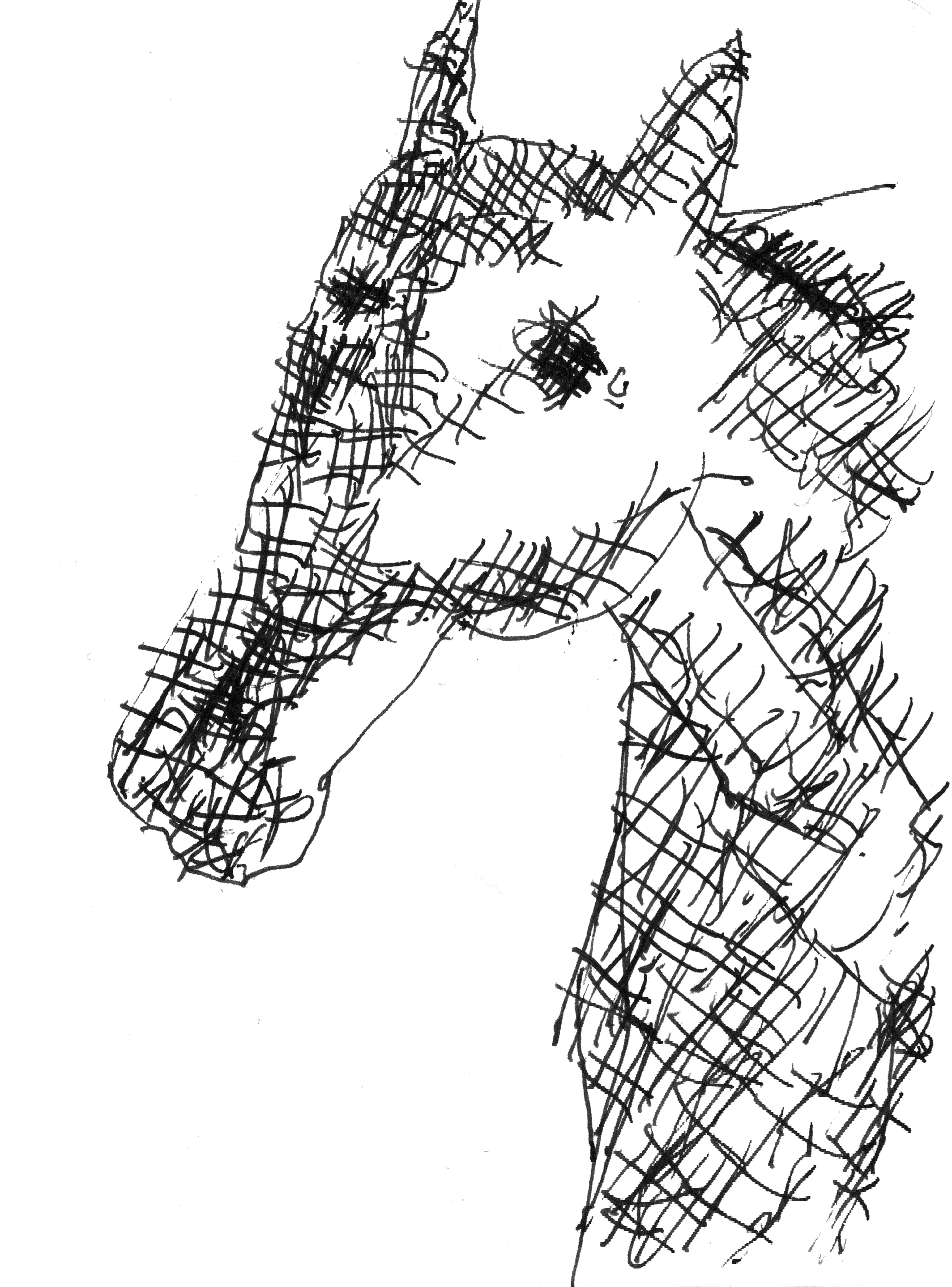 pen drawing of a horse's upper torso with cross hatching of small x's