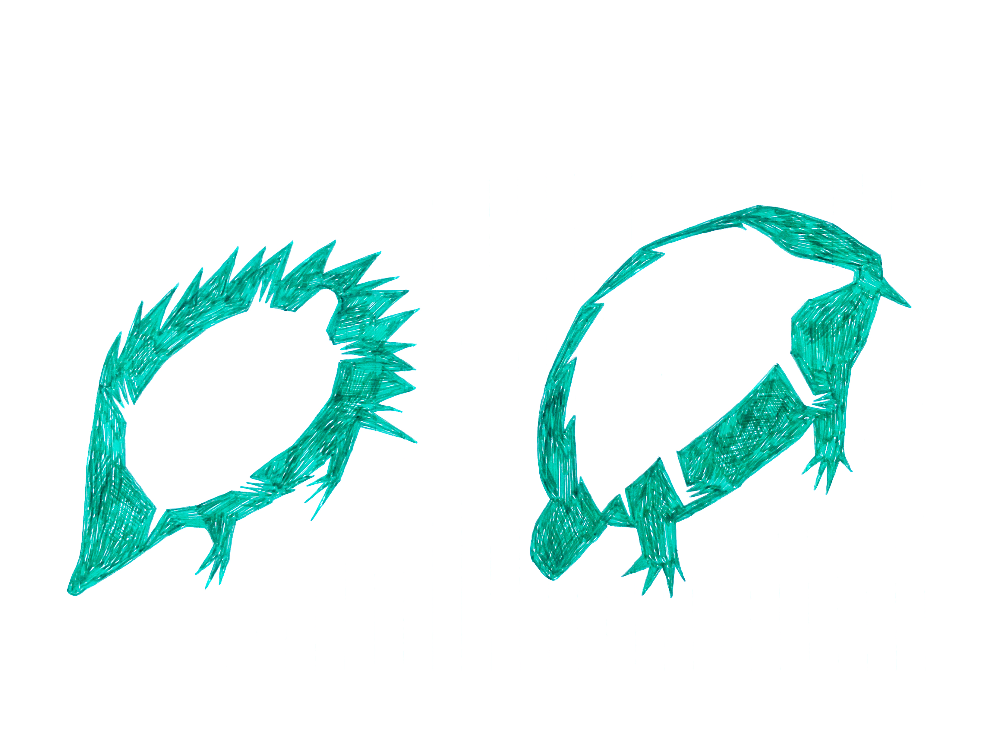 drawing in green pen of a hedgehog with a turtle silhouette in the middle, and a turtle on the right with a hedgehog silhouette