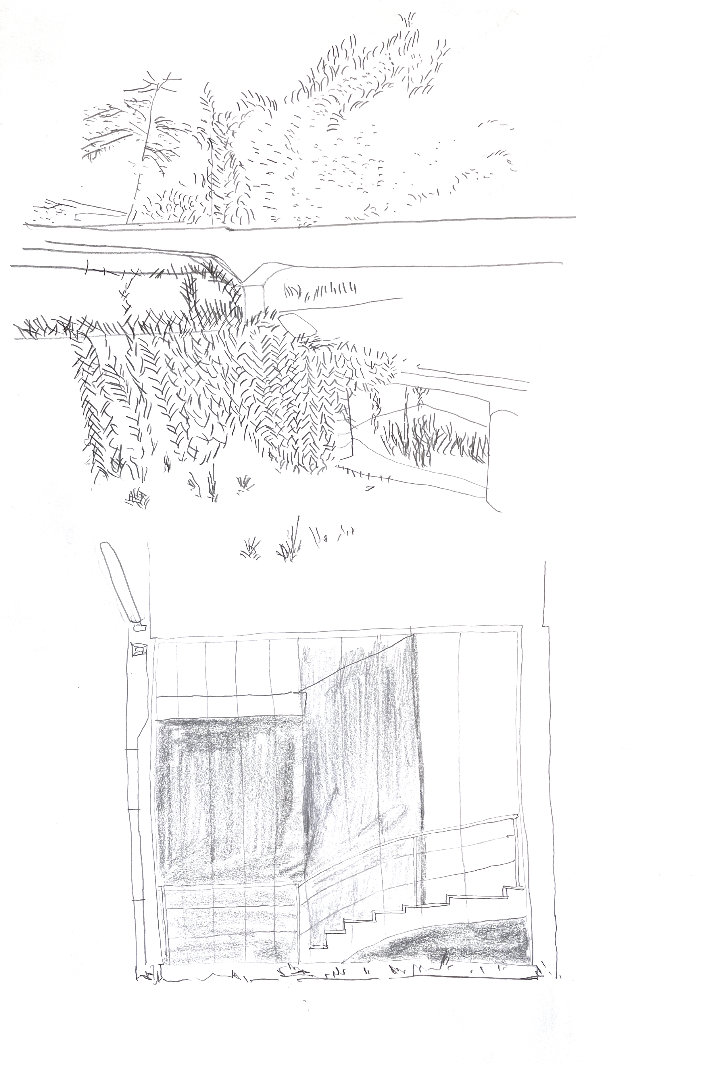 pencil drawing above of vines, and below a pencil drawing of stairs behind some glass panels