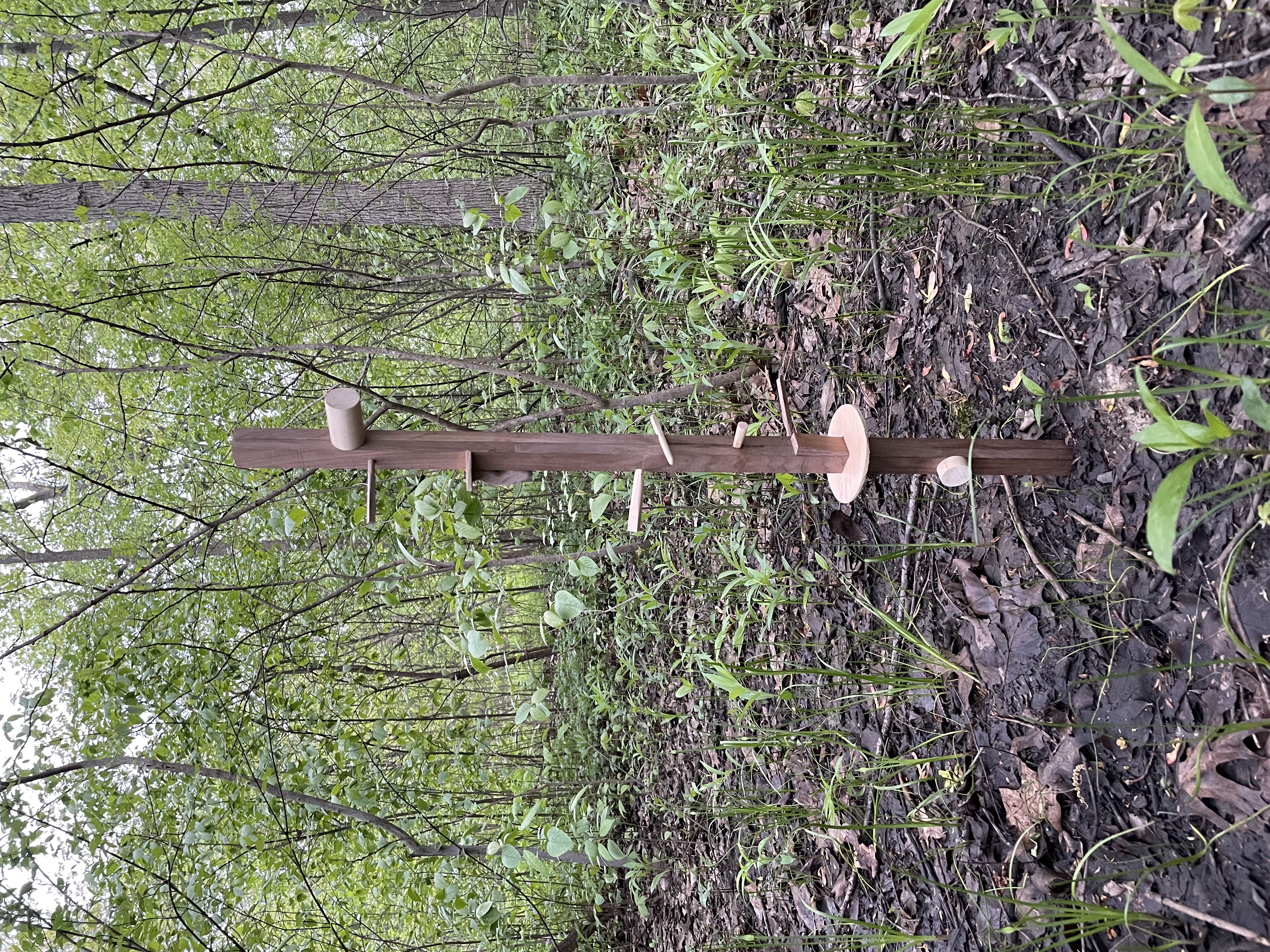 a dark wood post is sunken into a dirt patch in a forest preserve, and small, lighter wood protrusions of different varieties stick out. birds are meant to sit on different areas
