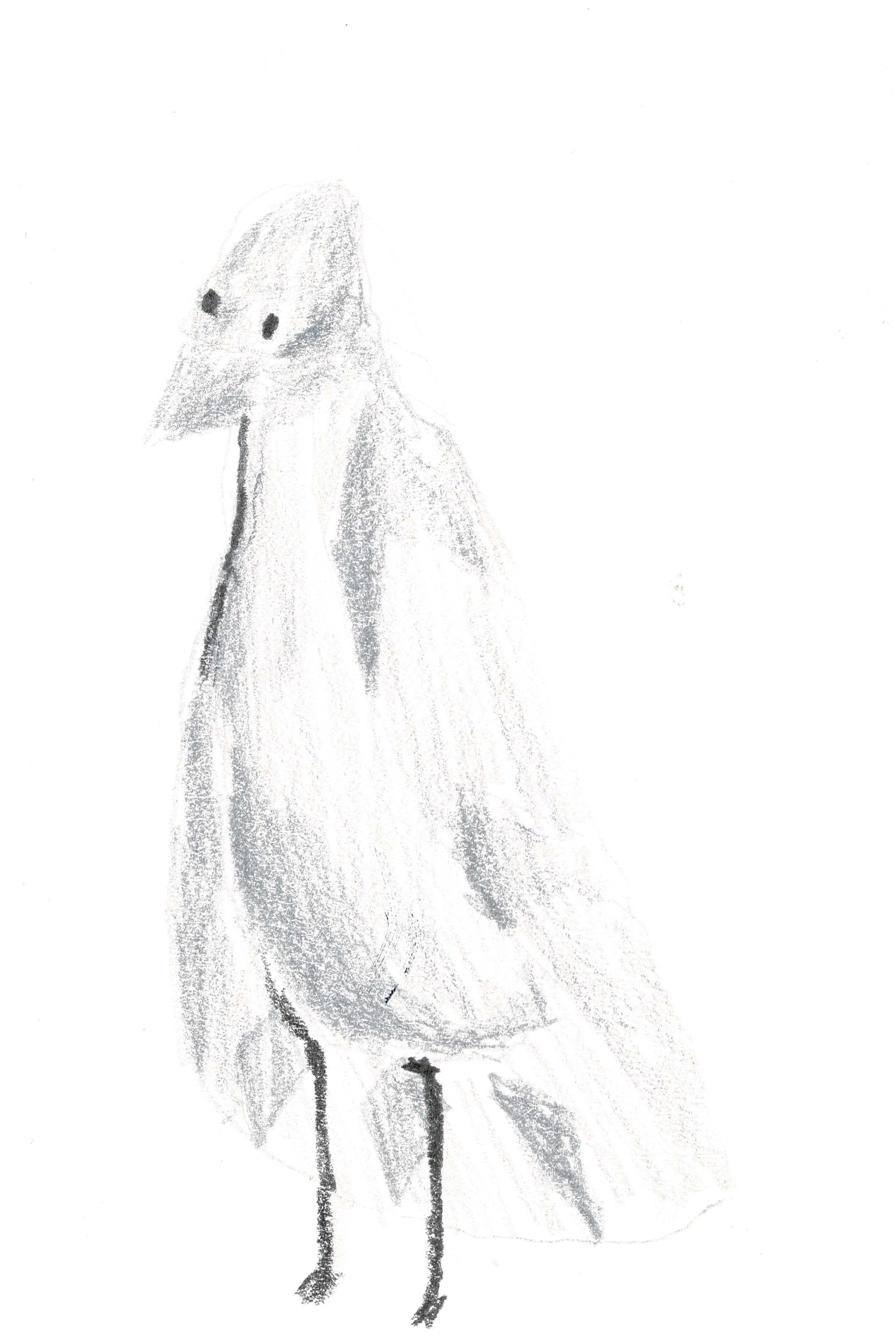 pencil drawing of a pigeon standing