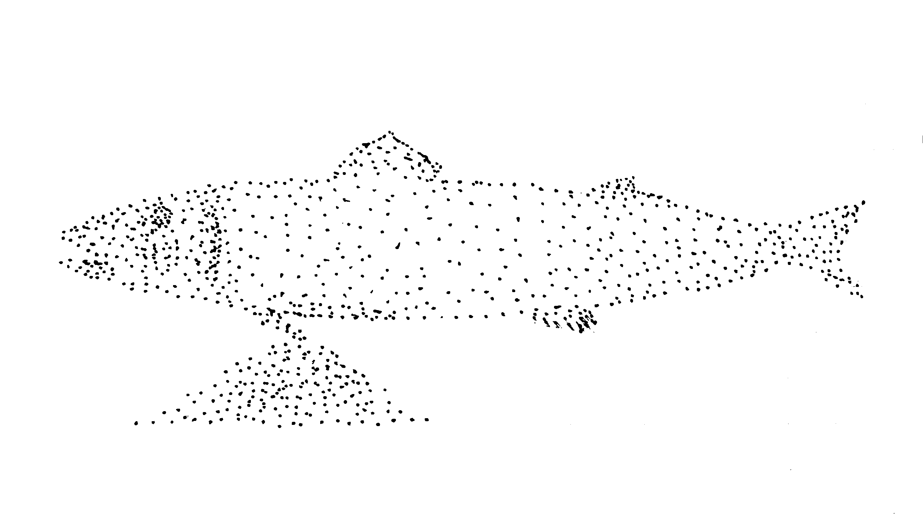 a drawing of a sablefish drawn with dots, to imitate sand 