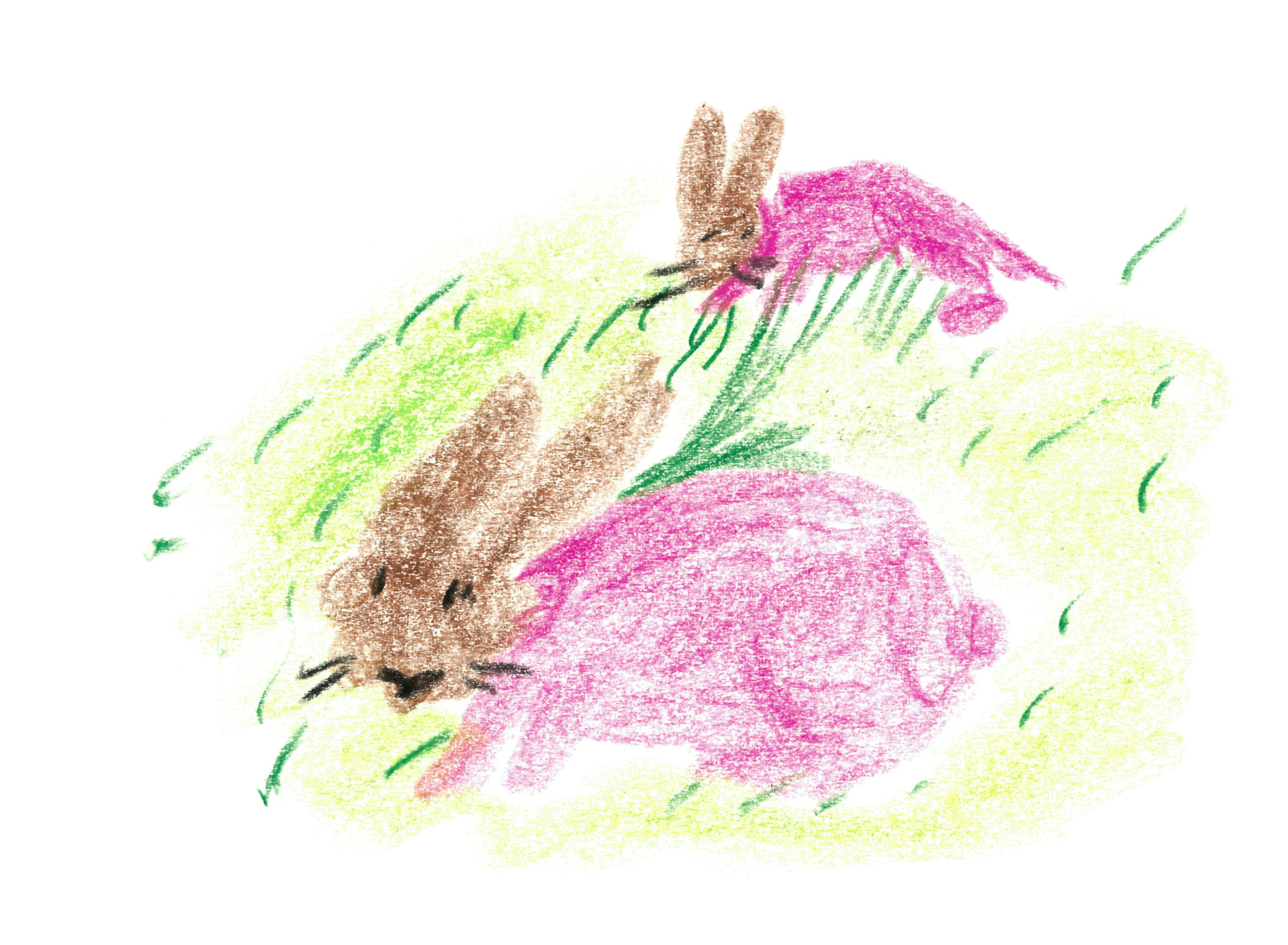 colored pencil drawing of two bunnies with brown faces and pink bodies running to the left through green grass