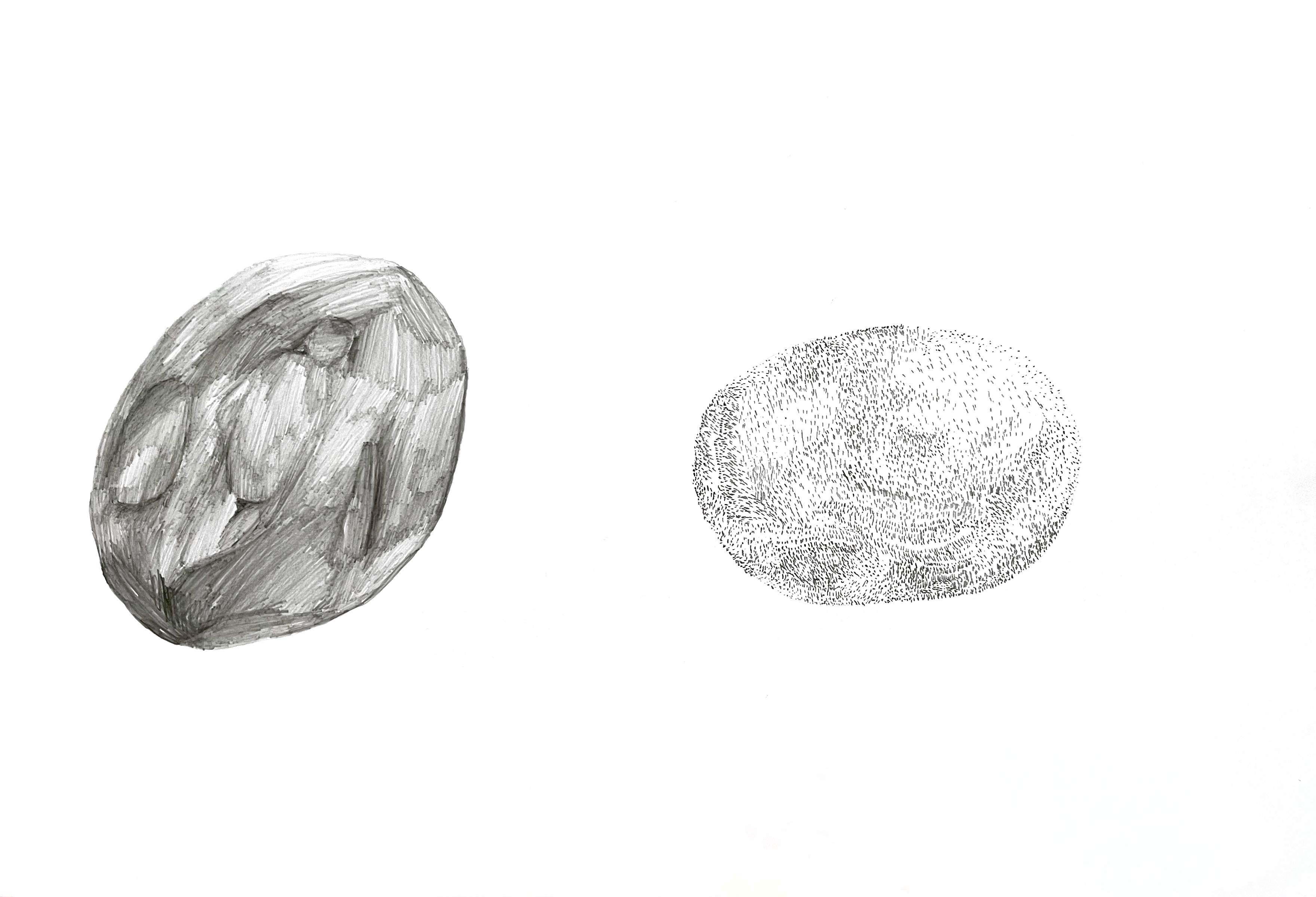 two stones drawn in pencil, the left drawn heavily shaded with different facets, the right stippled with small dark dots and mini lines