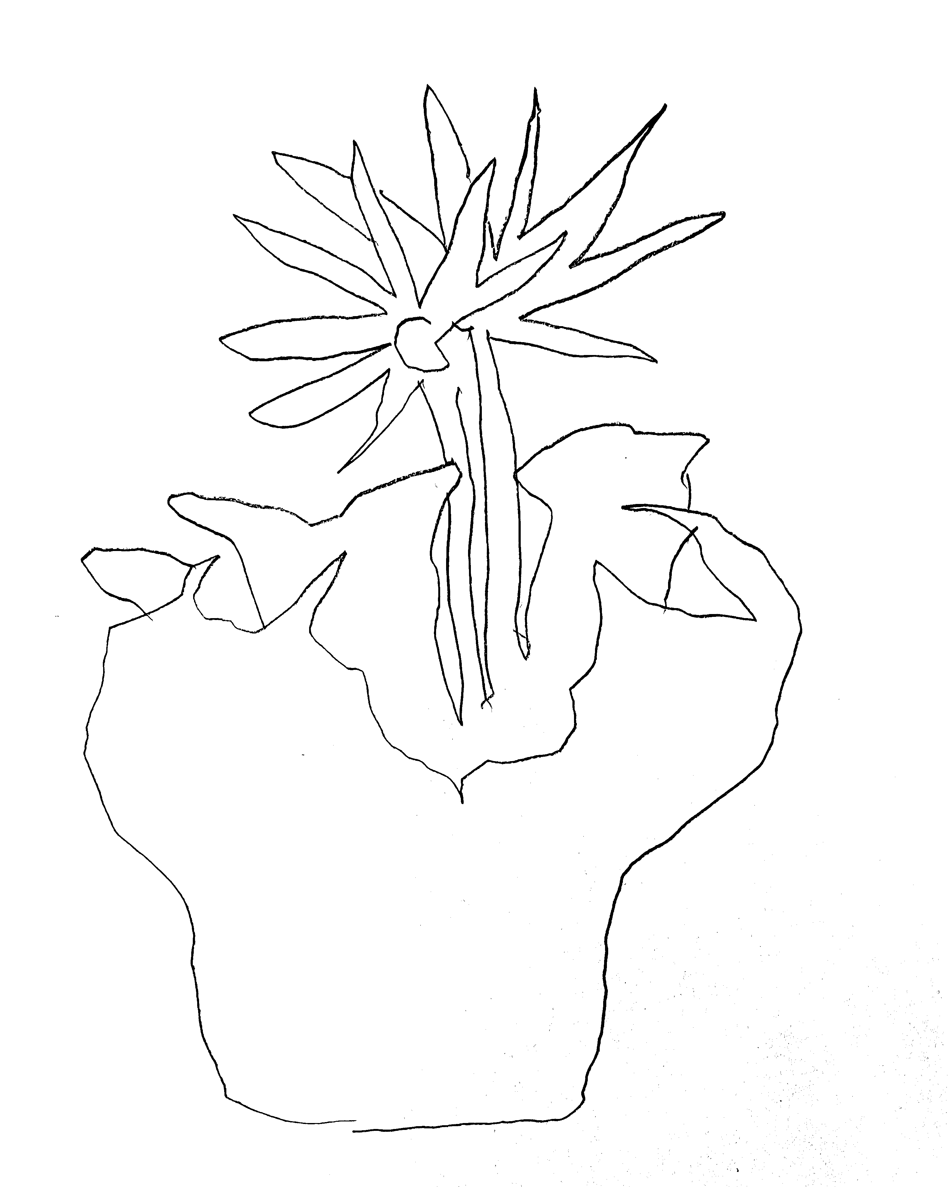 drawing of a flower in a paper vase